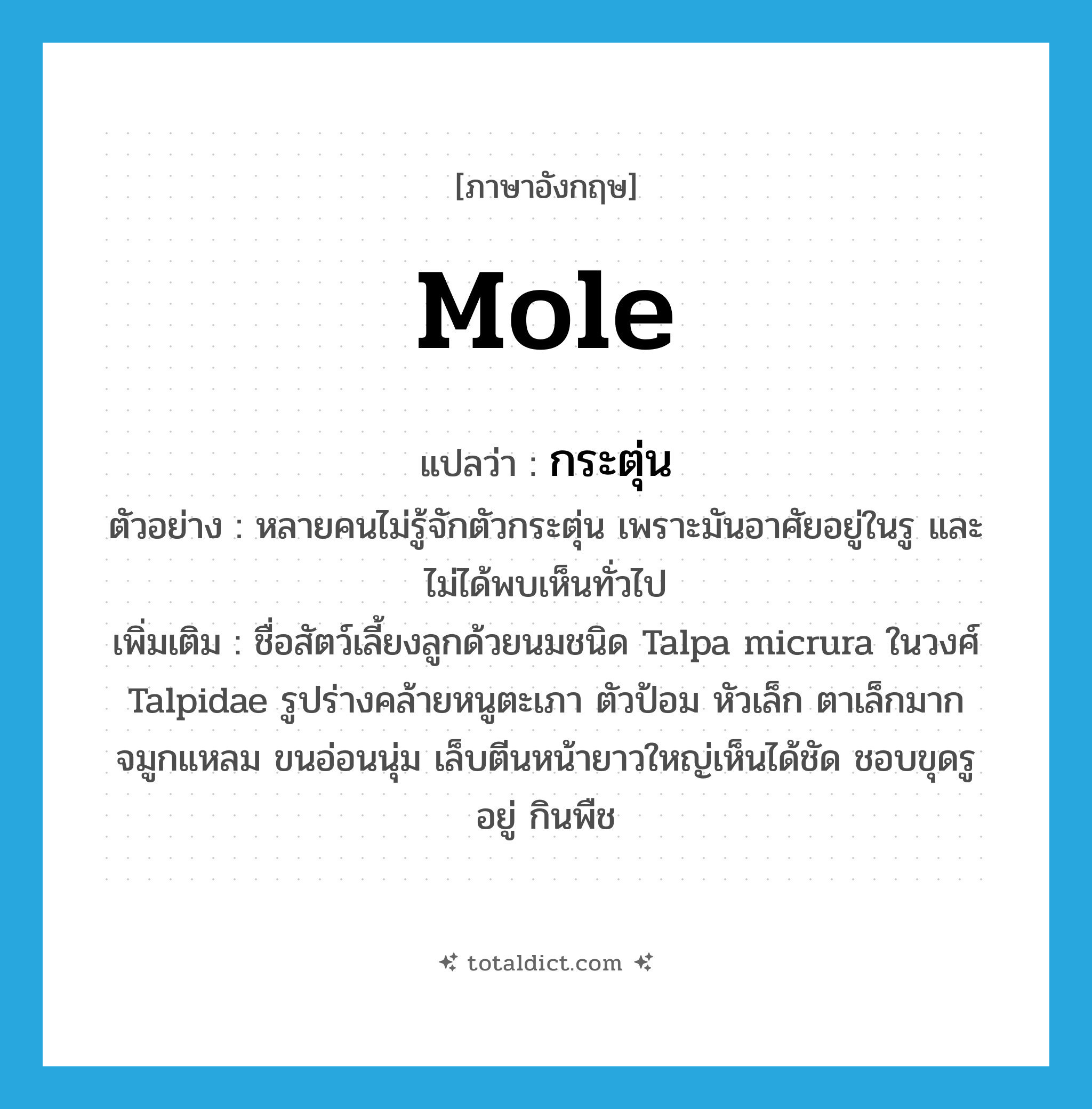 mole แปลว่า?, คำศัพท์ภาษาอังกฤษ mole แปลว่า กระตุ่น ประเภท N ตัวอย่าง หลายคนไม่รู้จักตัวกระตุ่น เพราะมันอาศัยอยู่ในรู และไม่ได้พบเห็นทั่วไป เพิ่มเติม ชื่อสัตว์เลี้ยงลูกด้วยนมชนิด Talpa micrura ในวงศ์ Talpidae รูปร่างคล้ายหนูตะเภา ตัวป้อม หัวเล็ก ตาเล็กมาก จมูกแหลม ขนอ่อนนุ่ม เล็บตีนหน้ายาวใหญ่เห็นได้ชัด ชอบขุดรูอยู่ กินพืช หมวด N