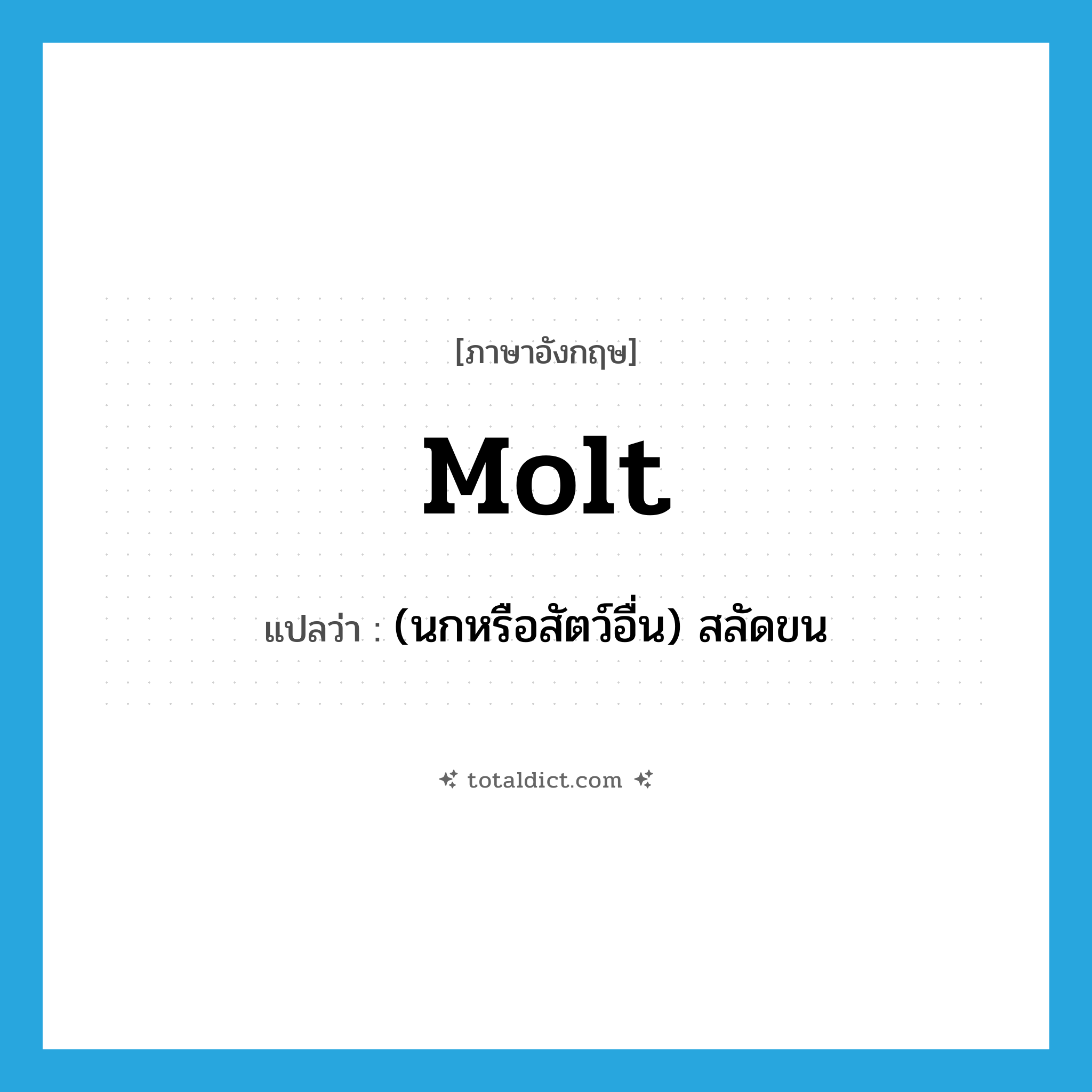 molt แปลว่า?, คำศัพท์ภาษาอังกฤษ molt แปลว่า (นกหรือสัตว์อื่น) สลัดขน ประเภท VI หมวด VI