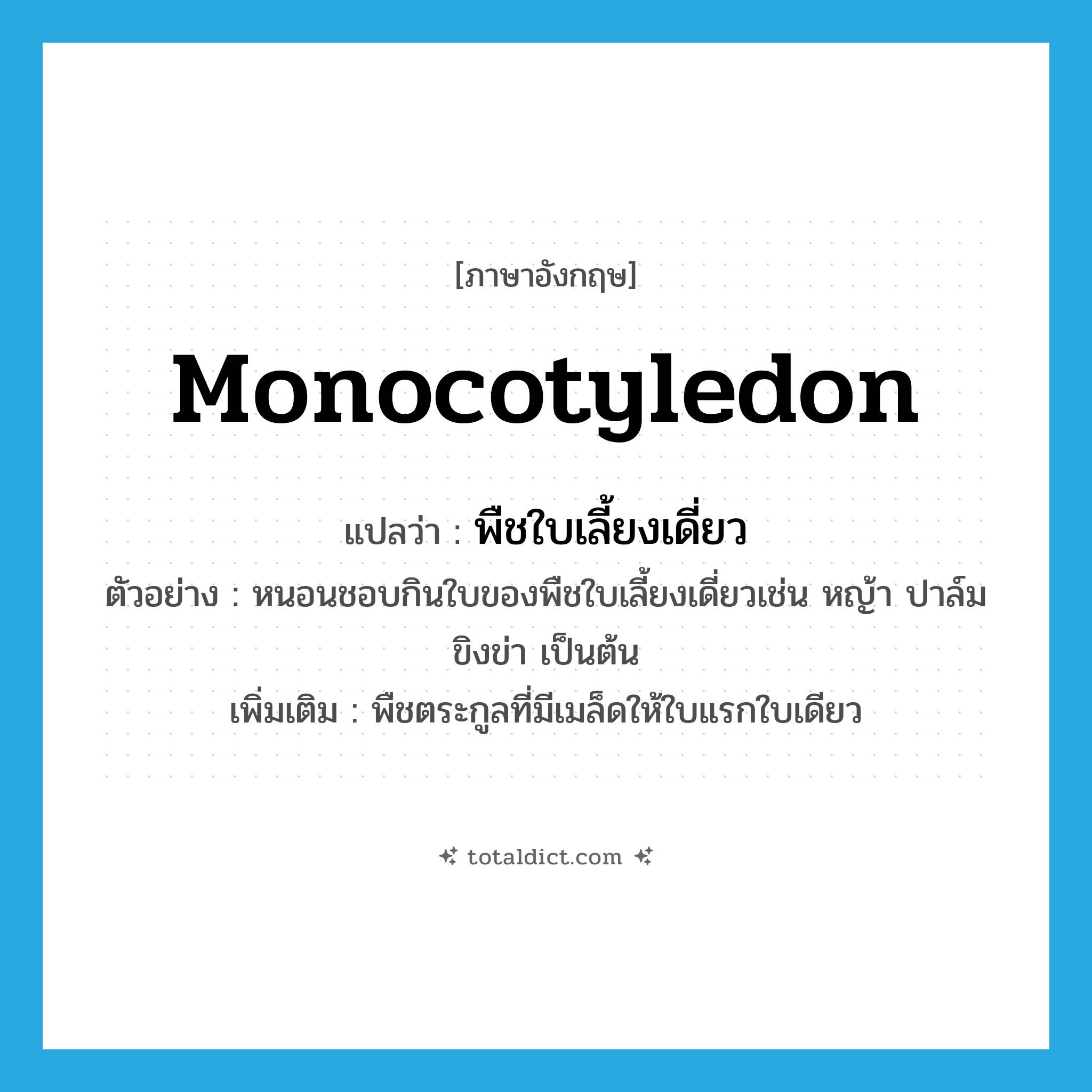 monocotyledon แปลว่า?, คำศัพท์ภาษาอังกฤษ monocotyledon แปลว่า พืชใบเลี้ยงเดี่ยว ประเภท N ตัวอย่าง หนอนชอบกินใบของพืชใบเลี้ยงเดี่ยวเช่น หญ้า ปาล์ม ขิงข่า เป็นต้น เพิ่มเติม พืชตระกูลที่มีเมล็ดให้ใบแรกใบเดียว หมวด N