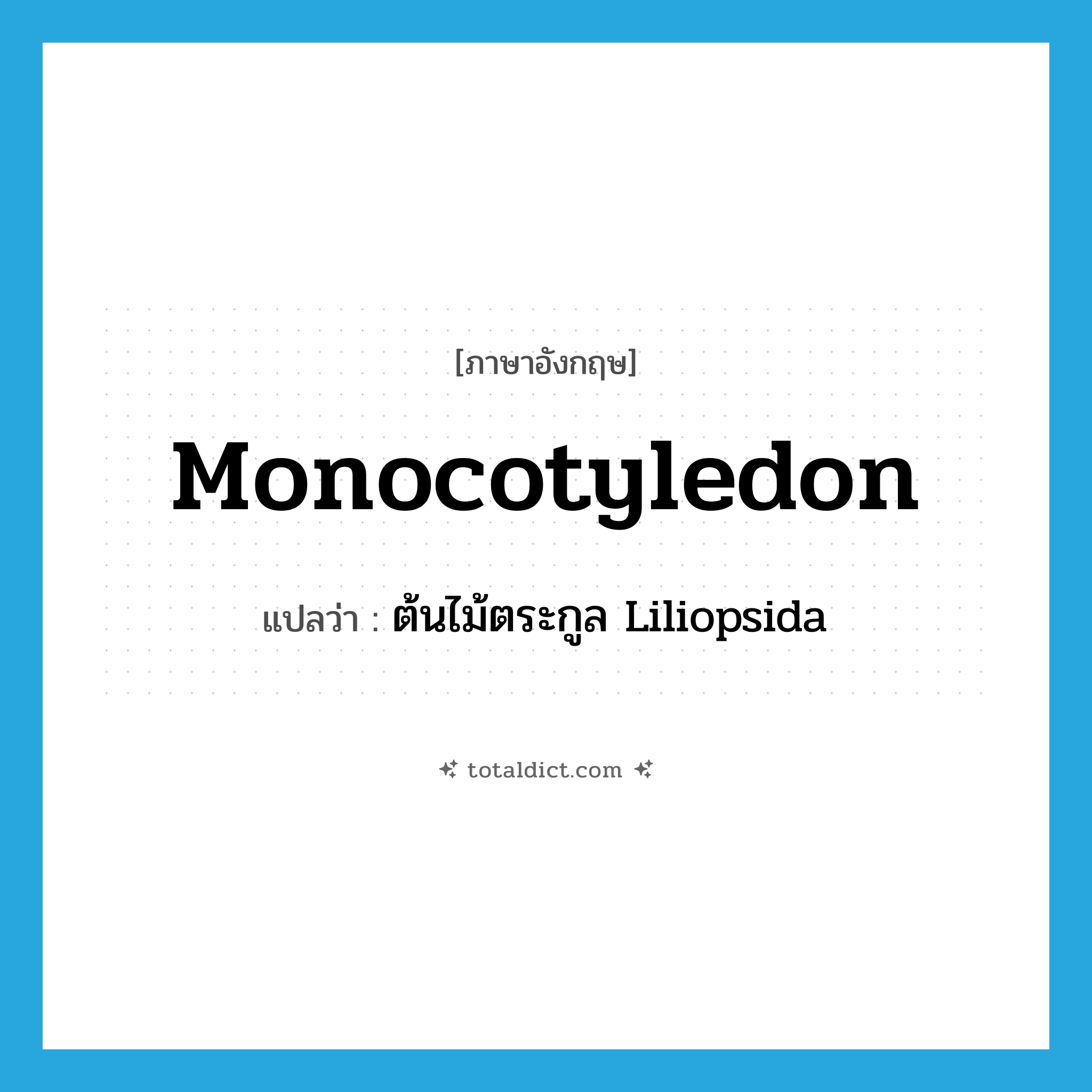 monocotyledon แปลว่า?, คำศัพท์ภาษาอังกฤษ monocotyledon แปลว่า ต้นไม้ตระกูล Liliopsida ประเภท N หมวด N