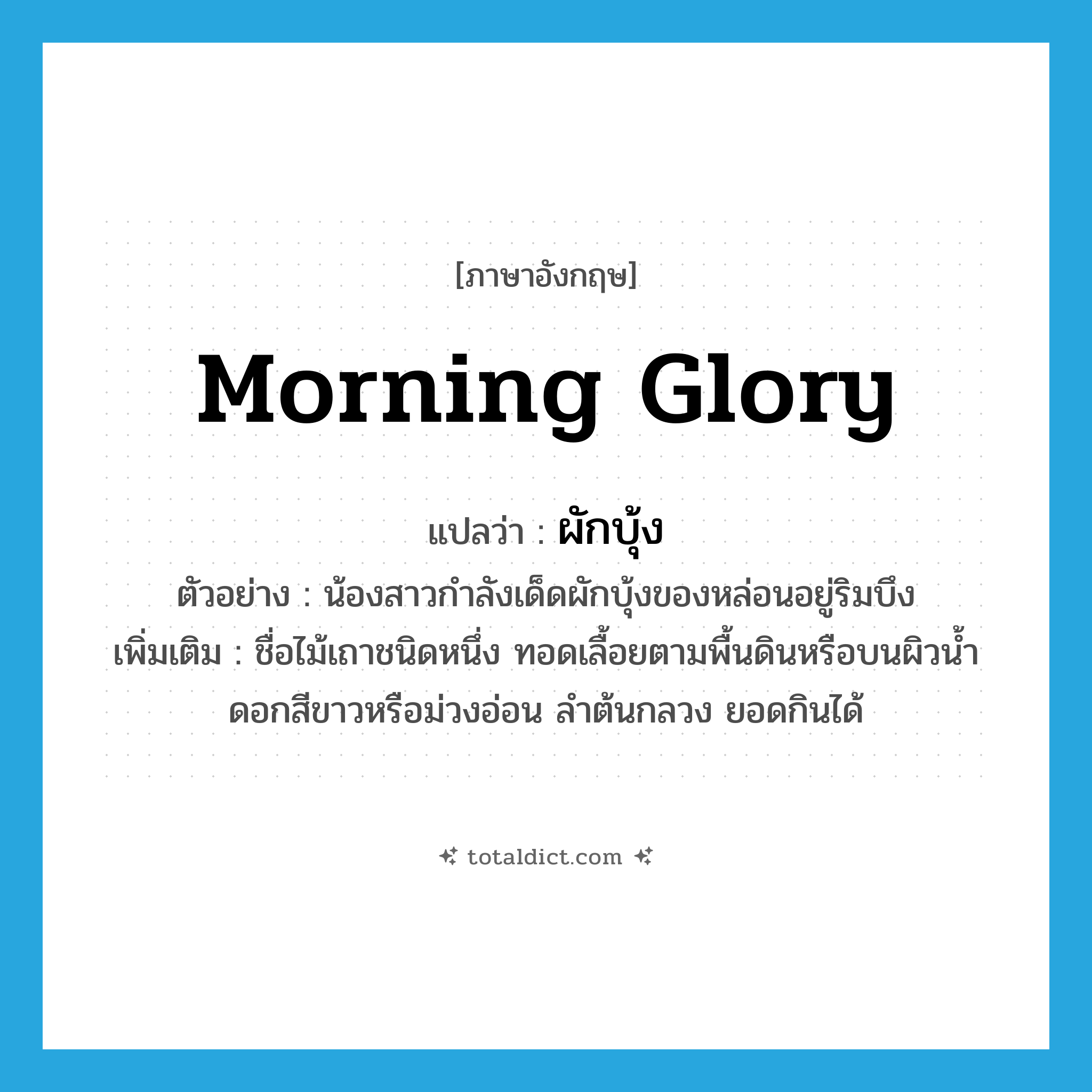 morning glory แปลว่า?, คำศัพท์ภาษาอังกฤษ morning glory แปลว่า ผักบุ้ง ประเภท N ตัวอย่าง น้องสาวกำลังเด็ดผักบุ้งของหล่อนอยู่ริมบึง เพิ่มเติม ชื่อไม้เถาชนิดหนึ่ง ทอดเลื้อยตามพื้นดินหรือบนผิวน้ำ ดอกสีขาวหรือม่วงอ่อน ลำต้นกลวง ยอดกินได้ หมวด N