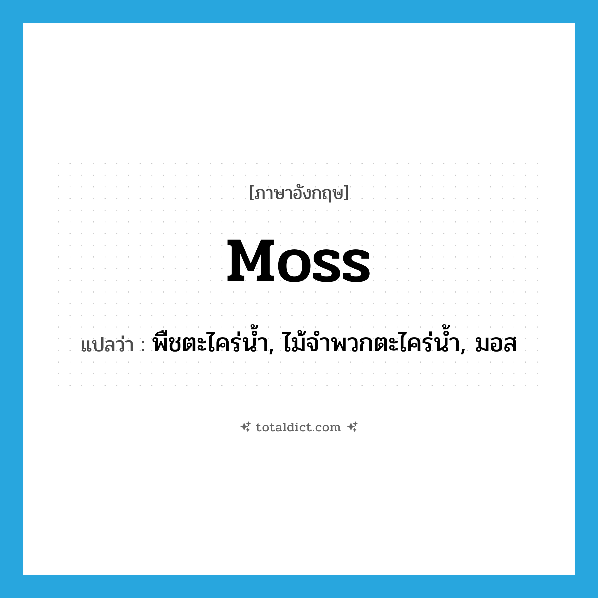 moss แปลว่า?, คำศัพท์ภาษาอังกฤษ moss แปลว่า พืชตะไคร่น้ำ, ไม้จำพวกตะไคร่น้ำ, มอส ประเภท N หมวด N