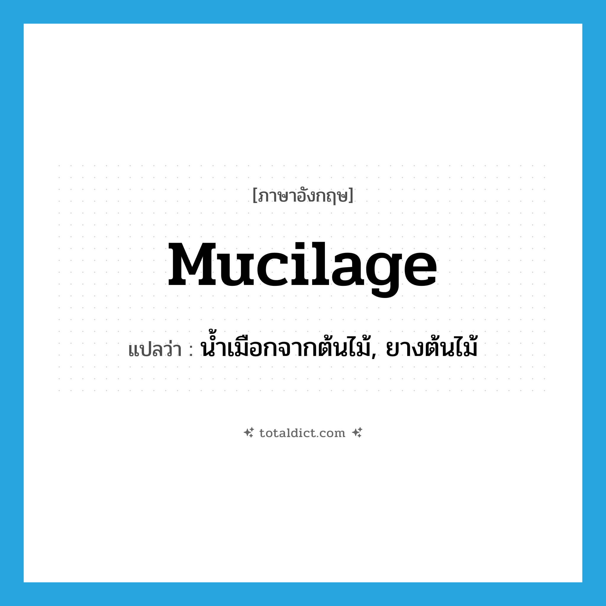 mucilage แปลว่า?, คำศัพท์ภาษาอังกฤษ mucilage แปลว่า น้ำเมือกจากต้นไม้, ยางต้นไม้ ประเภท N หมวด N