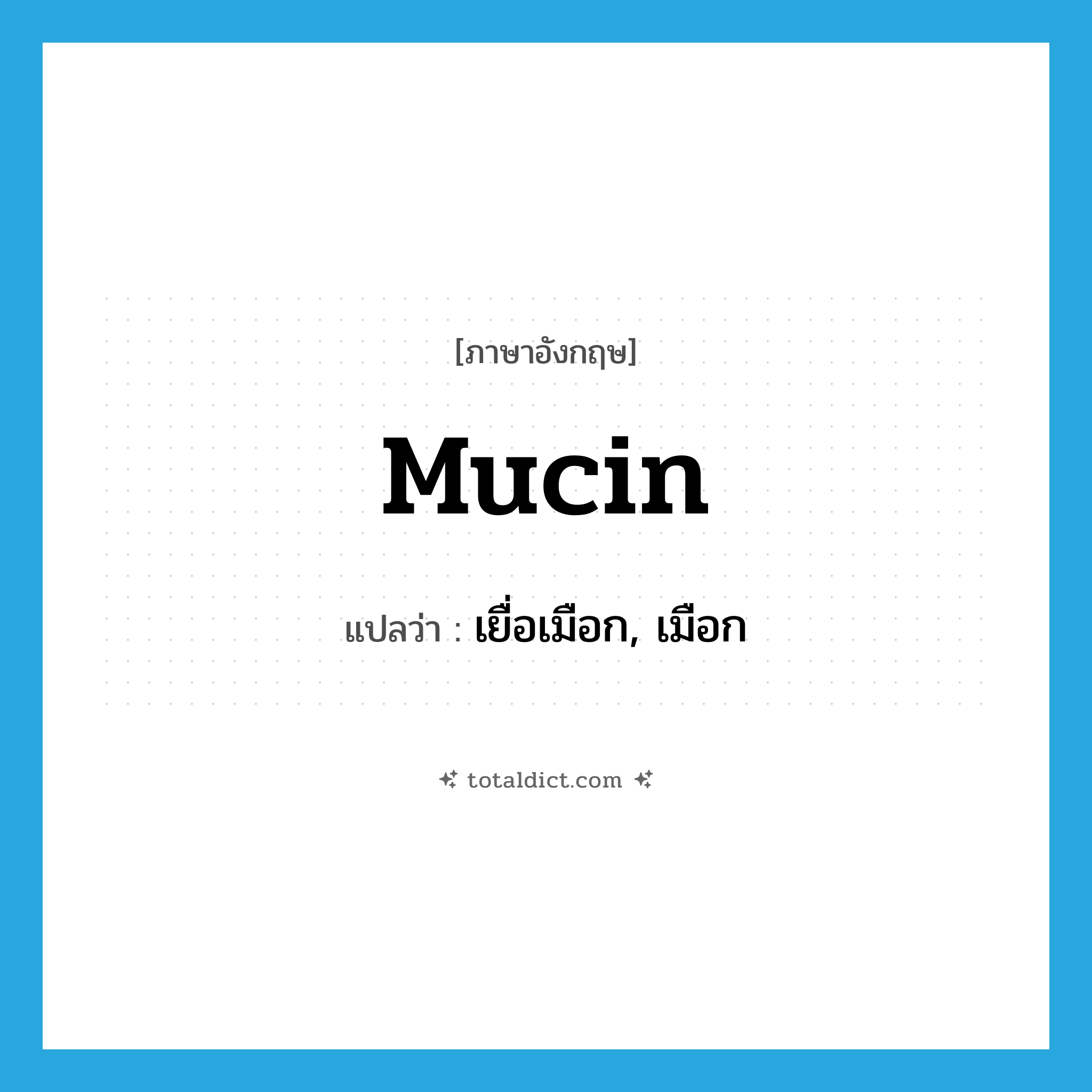 mucin แปลว่า?, คำศัพท์ภาษาอังกฤษ mucin แปลว่า เยื่อเมือก, เมือก ประเภท N หมวด N