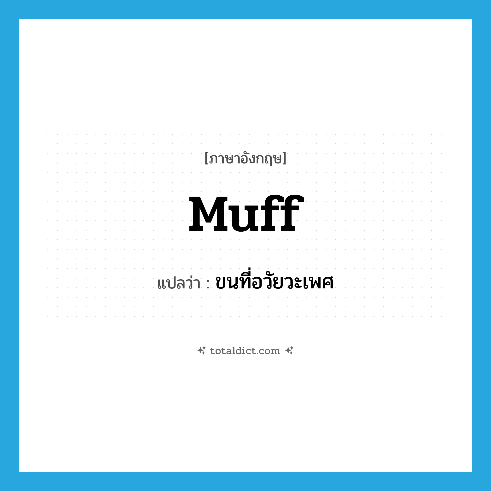 muff แปลว่า?, คำศัพท์ภาษาอังกฤษ muff แปลว่า ขนที่อวัยวะเพศ ประเภท SL หมวด SL