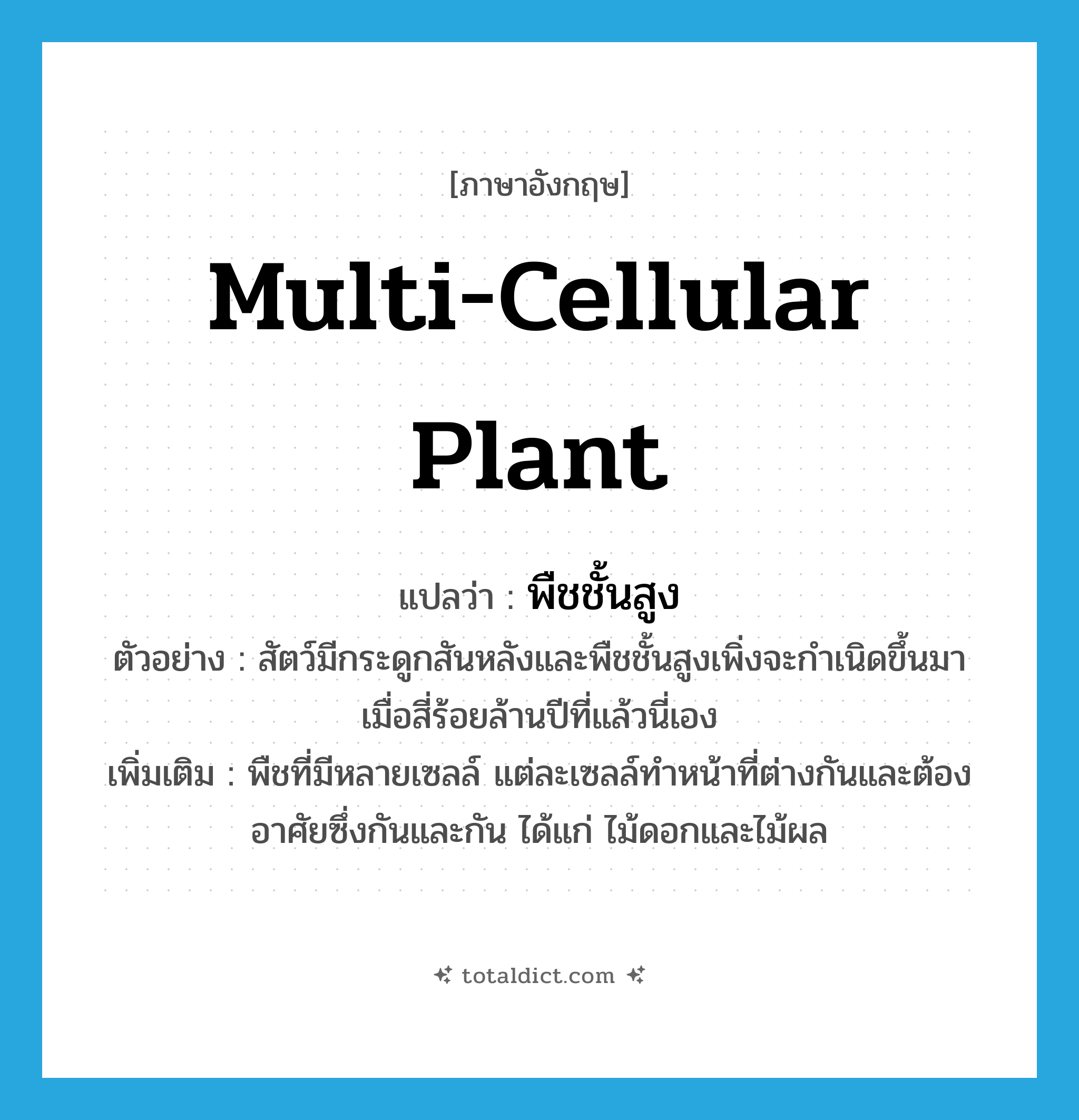 multi-cellular plant แปลว่า?, คำศัพท์ภาษาอังกฤษ multi-cellular plant แปลว่า พืชชั้นสูง ประเภท N ตัวอย่าง สัตว์มีกระดูกสันหลังและพืชชั้นสูงเพิ่งจะกำเนิดขึ้นมาเมื่อสี่ร้อยล้านปีที่แล้วนี่เอง เพิ่มเติม พืชที่มีหลายเซลล์ แต่ละเซลล์ทำหน้าที่ต่างกันและต้องอาศัยซึ่งกันและกัน ได้แก่ ไม้ดอกและไม้ผล หมวด N