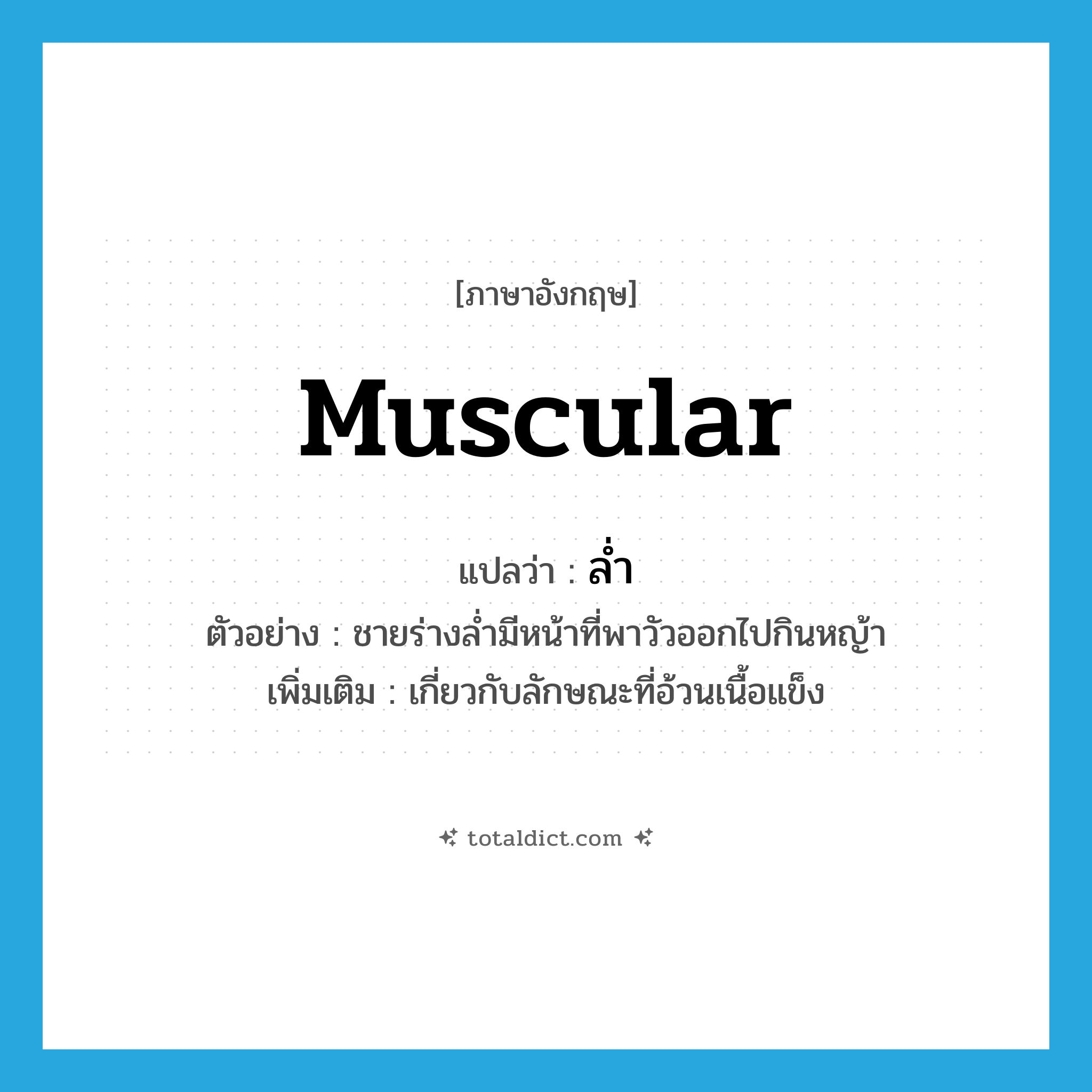 muscular แปลว่า?, คำศัพท์ภาษาอังกฤษ muscular แปลว่า ล่ำ ประเภท ADJ ตัวอย่าง ชายร่างล่ำมีหน้าที่พาวัวออกไปกินหญ้า เพิ่มเติม เกี่ยวกับลักษณะที่อ้วนเนื้อแข็ง หมวด ADJ