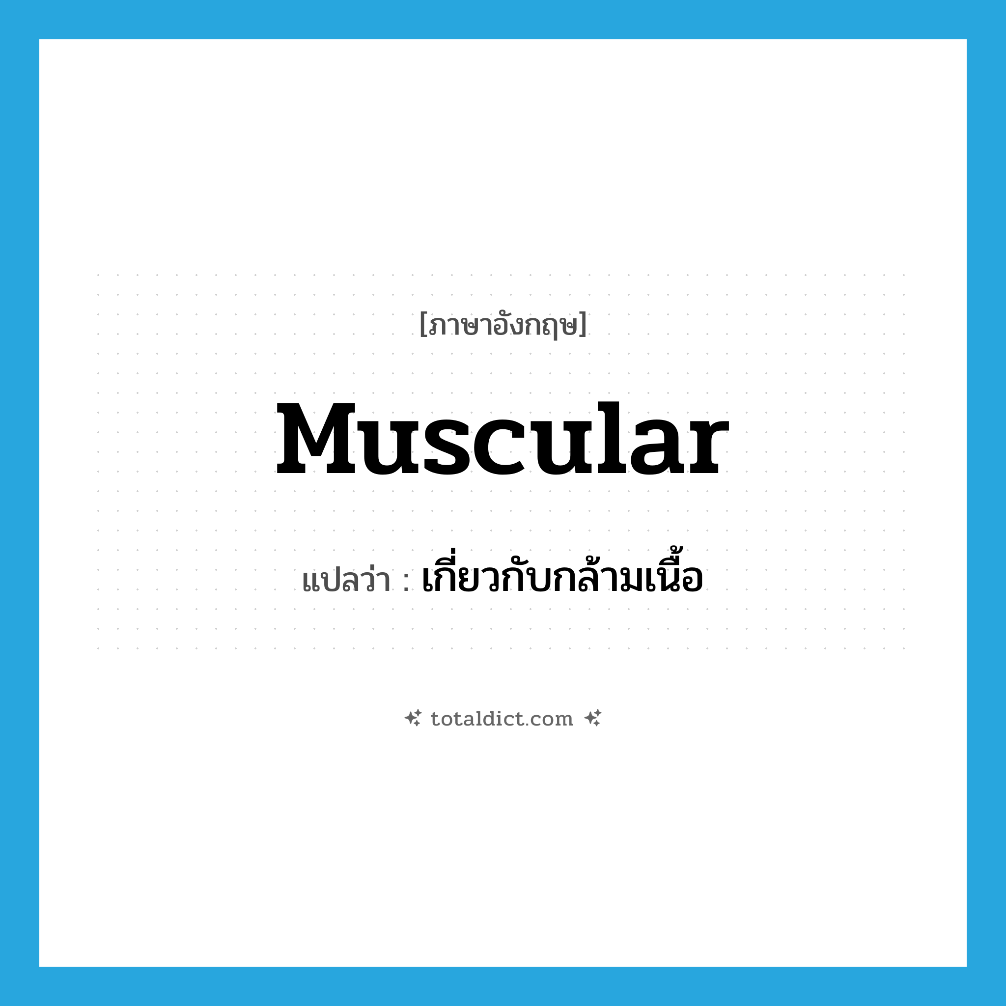 muscular แปลว่า?, คำศัพท์ภาษาอังกฤษ muscular แปลว่า เกี่ยวกับกล้ามเนื้อ ประเภท ADJ หมวด ADJ