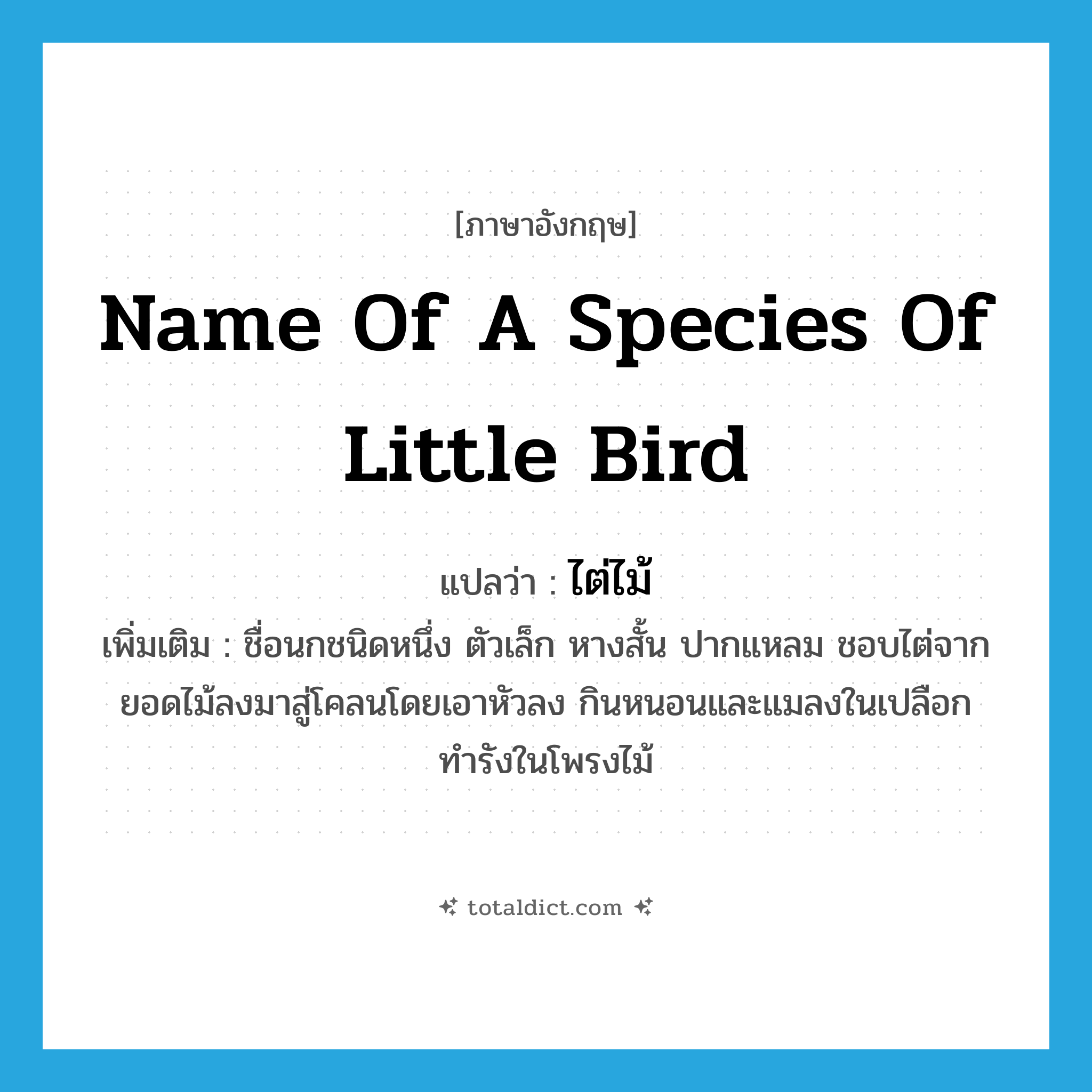 name of a species of little bird แปลว่า?, คำศัพท์ภาษาอังกฤษ name of a species of little bird แปลว่า ไต่ไม้ ประเภท N เพิ่มเติม ชื่อนกชนิดหนึ่ง ตัวเล็ก หางสั้น ปากแหลม ชอบไต่จากยอดไม้ลงมาสู่โคลนโดยเอาหัวลง กินหนอนและแมลงในเปลือก ทำรังในโพรงไม้ หมวด N