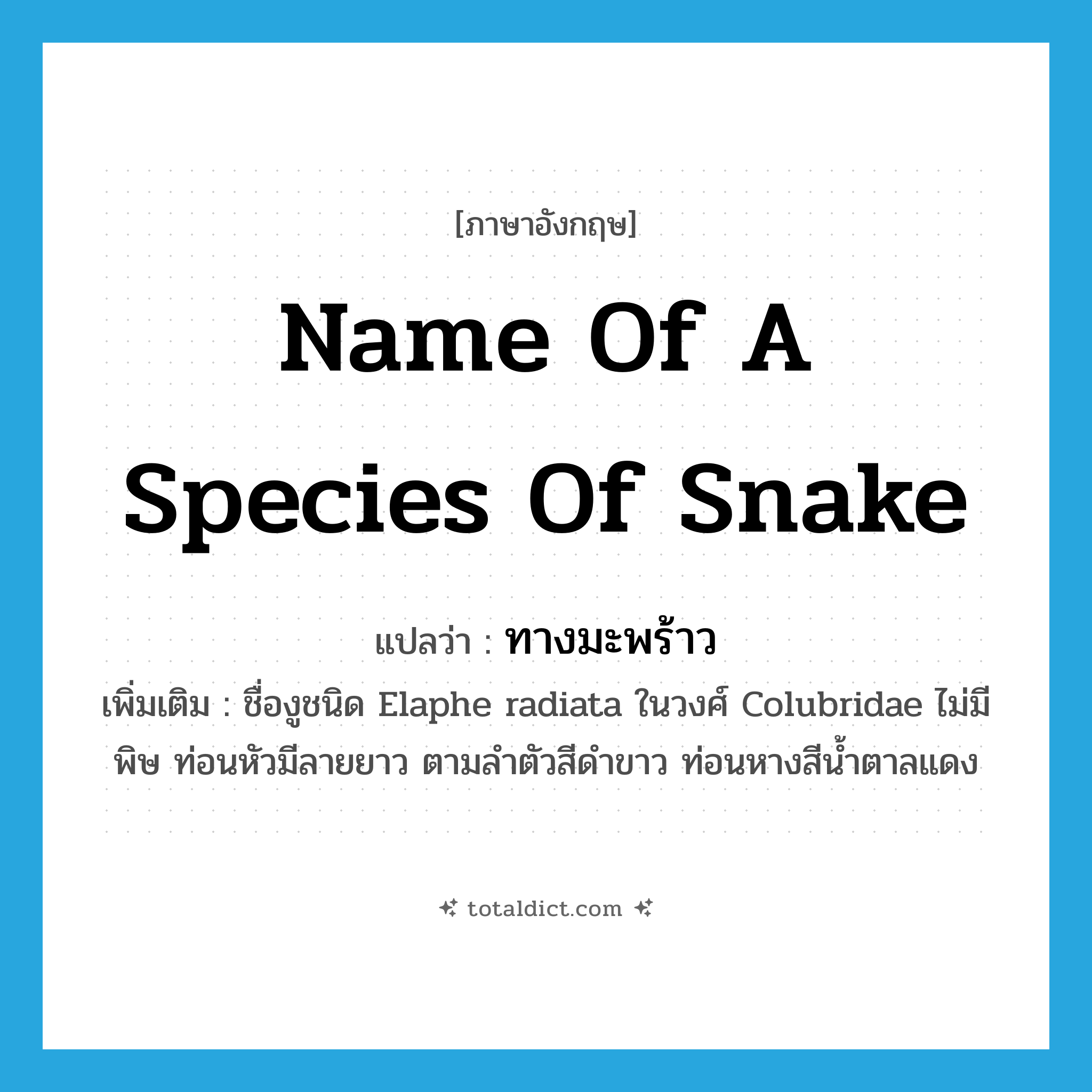 name of a species of snake แปลว่า?, คำศัพท์ภาษาอังกฤษ name of a species of snake แปลว่า ทางมะพร้าว ประเภท N เพิ่มเติม ชื่องูชนิด Elaphe radiata ในวงศ์ Colubridae ไม่มีพิษ ท่อนหัวมีลายยาว ตามลำตัวสีดำขาว ท่อนหางสีน้ำตาลแดง หมวด N