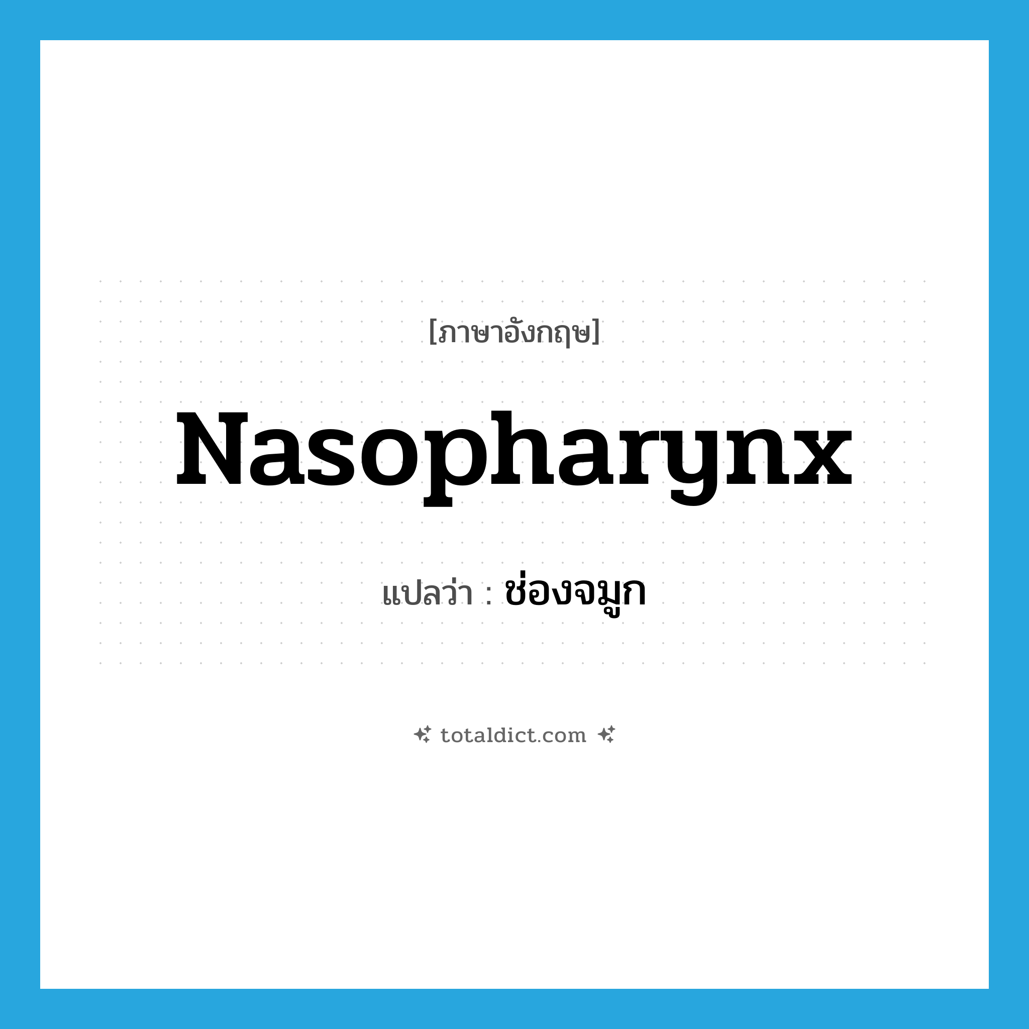 nasopharynx แปลว่า?, คำศัพท์ภาษาอังกฤษ nasopharynx แปลว่า ช่องจมูก ประเภท N หมวด N