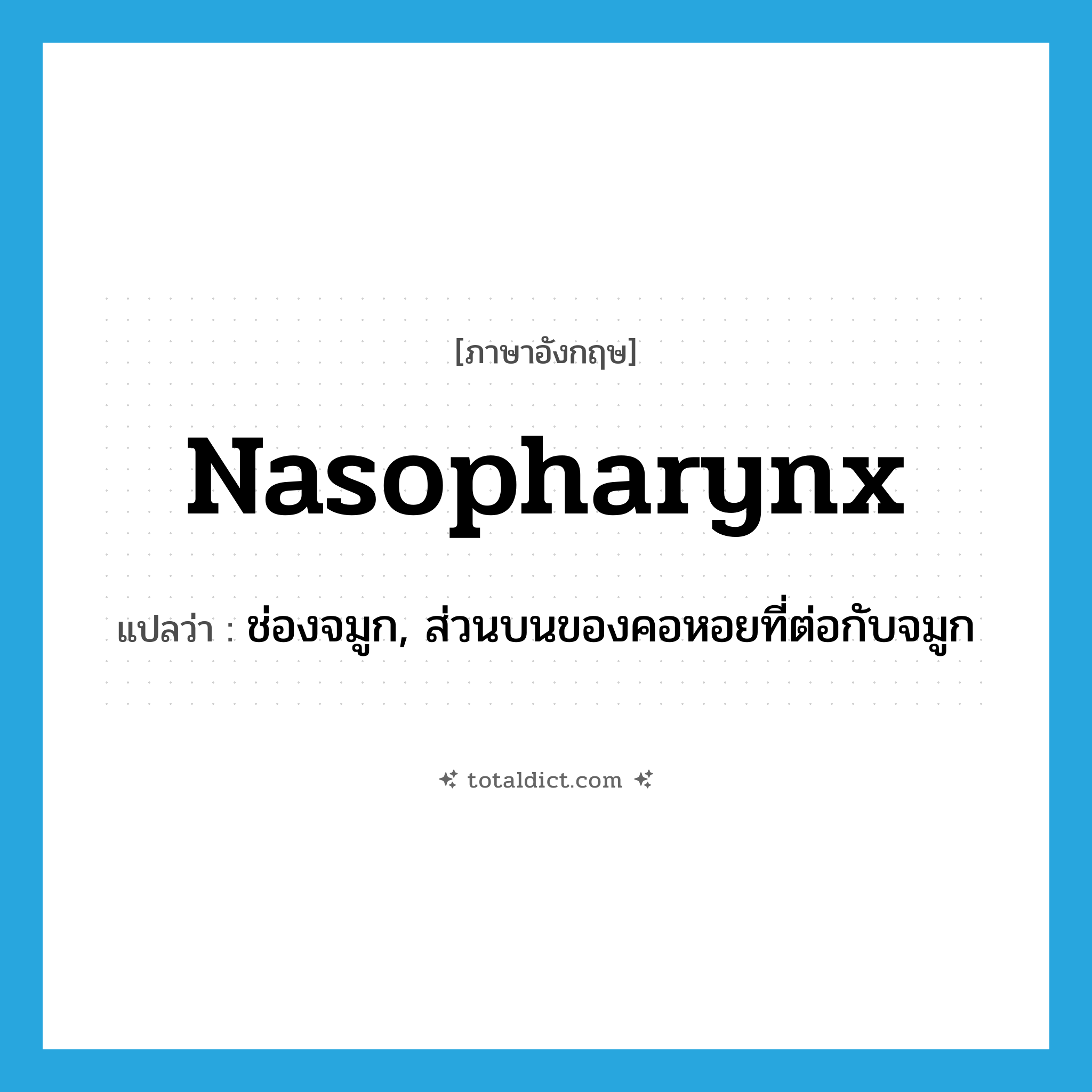 nasopharynx แปลว่า?, คำศัพท์ภาษาอังกฤษ nasopharynx แปลว่า ช่องจมูก, ส่วนบนของคอหอยที่ต่อกับจมูก ประเภท N หมวด N