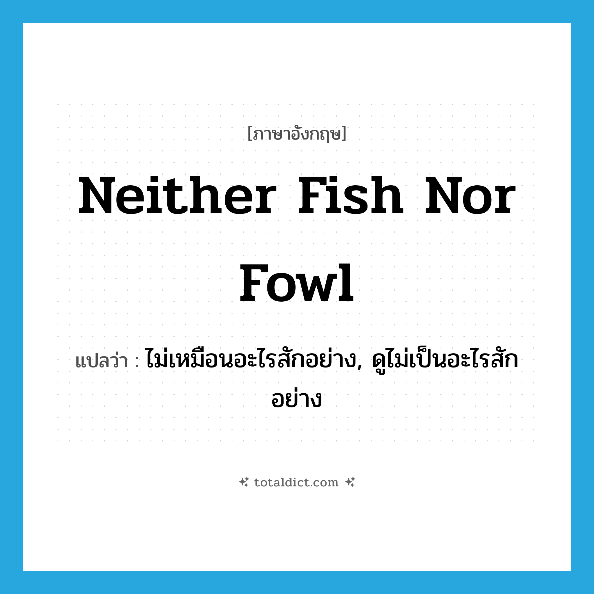 neither fish nor fowl แปลว่า?, คำศัพท์ภาษาอังกฤษ neither fish nor fowl แปลว่า ไม่เหมือนอะไรสักอย่าง, ดูไม่เป็นอะไรสักอย่าง ประเภท IDM หมวด IDM