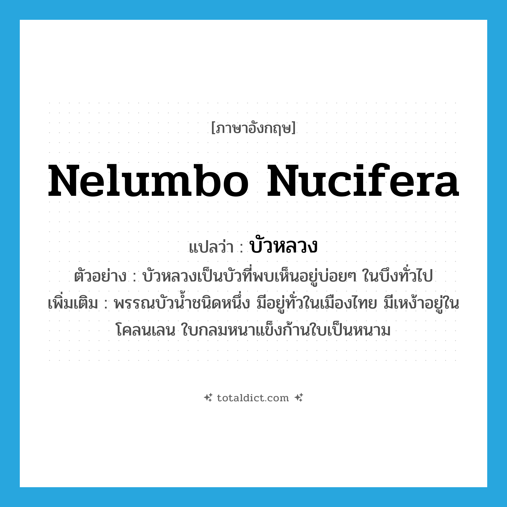 Nelumbo nucifera แปลว่า?, คำศัพท์ภาษาอังกฤษ Nelumbo nucifera แปลว่า บัวหลวง ประเภท N ตัวอย่าง บัวหลวงเป็นบัวที่พบเห็นอยู่บ่อยๆ ในบึงทั่วไป เพิ่มเติม พรรณบัวน้ำชนิดหนึ่ง มีอยู่ทั่วในเมืองไทย มีเหง้าอยู่ในโคลนเลน ใบกลมหนาแข็งก้านใบเป็นหนาม หมวด N