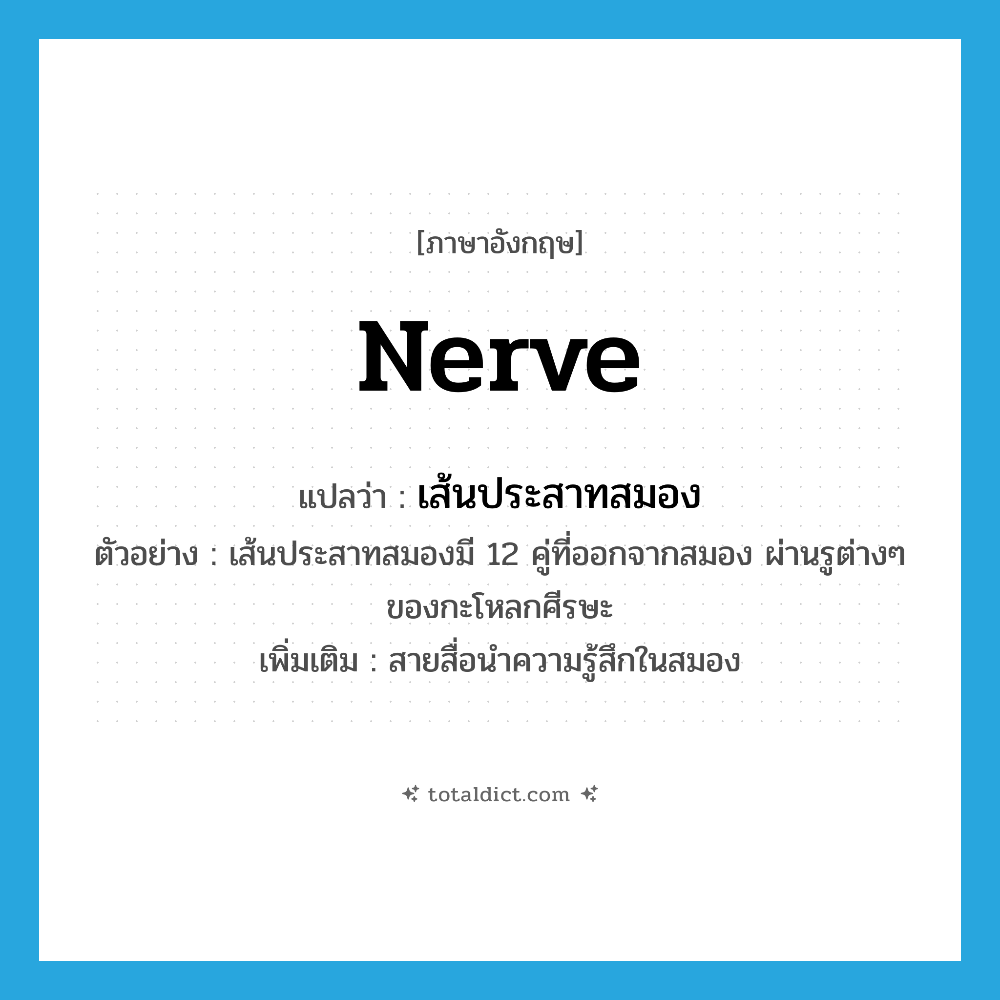 nerve แปลว่า?, คำศัพท์ภาษาอังกฤษ nerve แปลว่า เส้นประสาทสมอง ประเภท N ตัวอย่าง เส้นประสาทสมองมี 12 คู่ที่ออกจากสมอง ผ่านรูต่างๆ ของกะโหลกศีรษะ เพิ่มเติม สายสื่อนำความรู้สึกในสมอง หมวด N