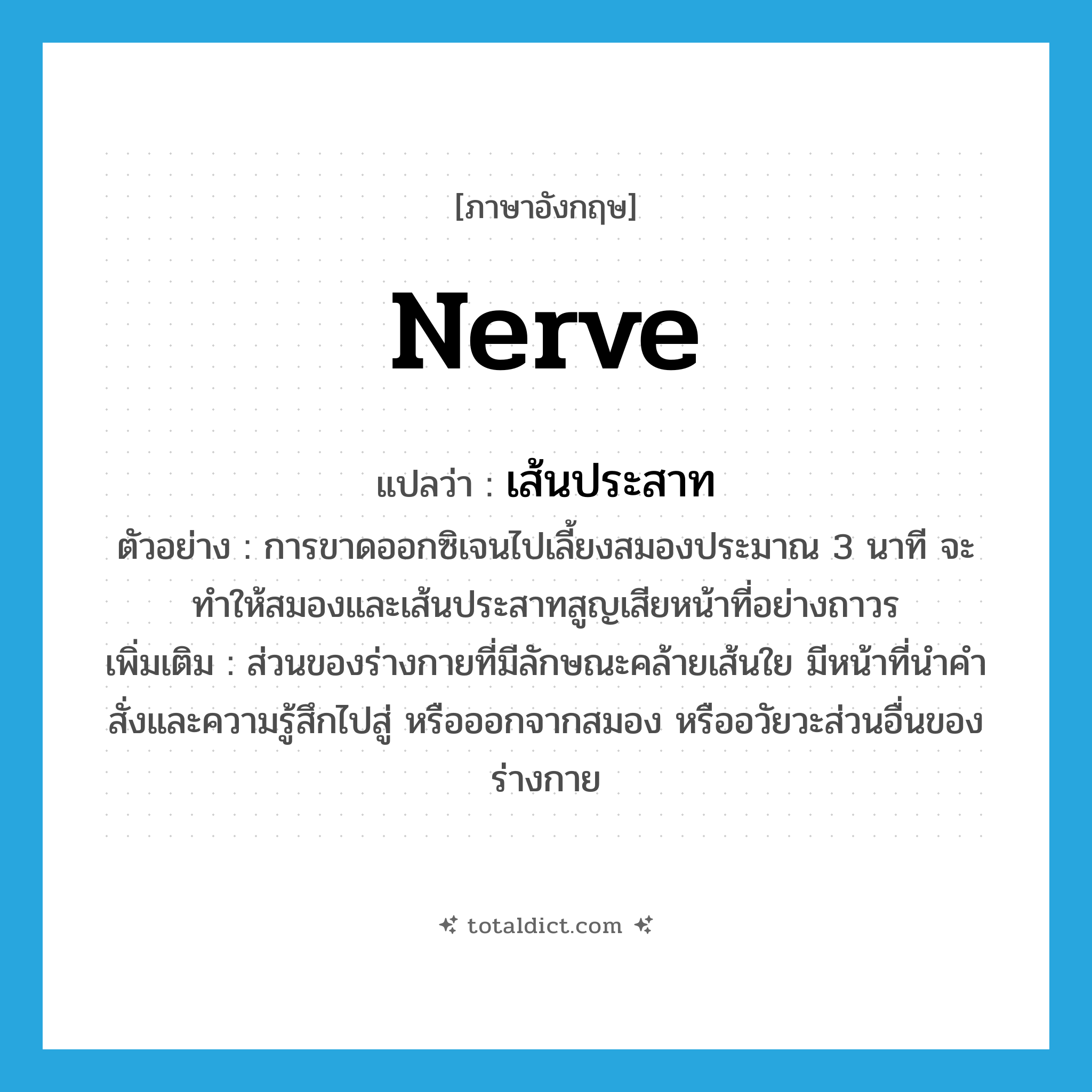 nerve แปลว่า?, คำศัพท์ภาษาอังกฤษ nerve แปลว่า เส้นประสาท ประเภท N ตัวอย่าง การขาดออกซิเจนไปเลี้ยงสมองประมาณ 3 นาที จะทำให้สมองและเส้นประสาทสูญเสียหน้าที่อย่างถาวร เพิ่มเติม ส่วนของร่างกายที่มีลักษณะคล้ายเส้นใย มีหน้าที่นำคำสั่งและความรู้สึกไปสู่ หรือออกจากสมอง หรืออวัยวะส่วนอื่นของร่างกาย หมวด N