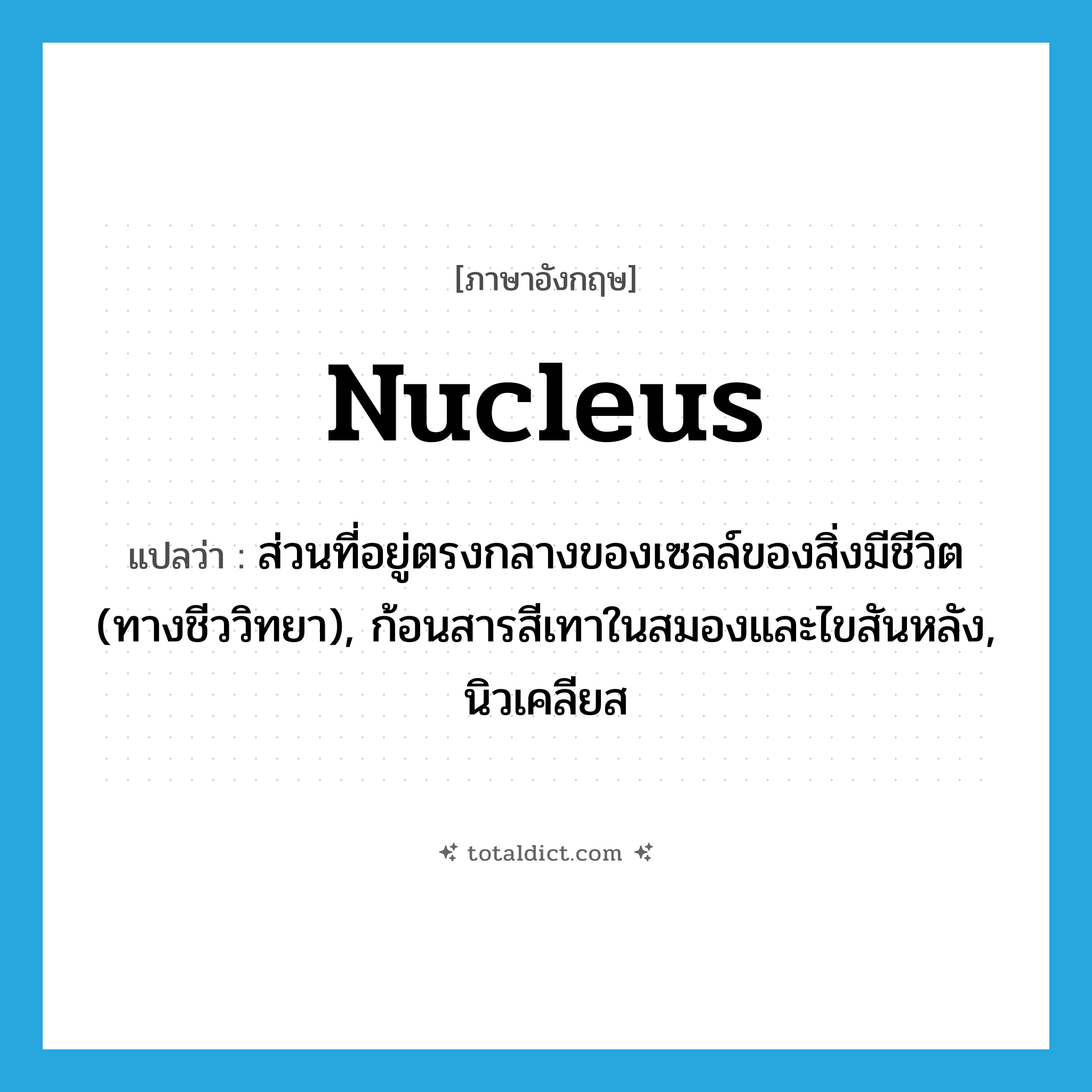 nucleus แปลว่า?, คำศัพท์ภาษาอังกฤษ nucleus แปลว่า ส่วนที่อยู่ตรงกลางของเซลล์ของสิ่งมีชีวิต (ทางชีววิทยา), ก้อนสารสีเทาในสมองและไขสันหลัง, นิวเคลียส ประเภท N หมวด N