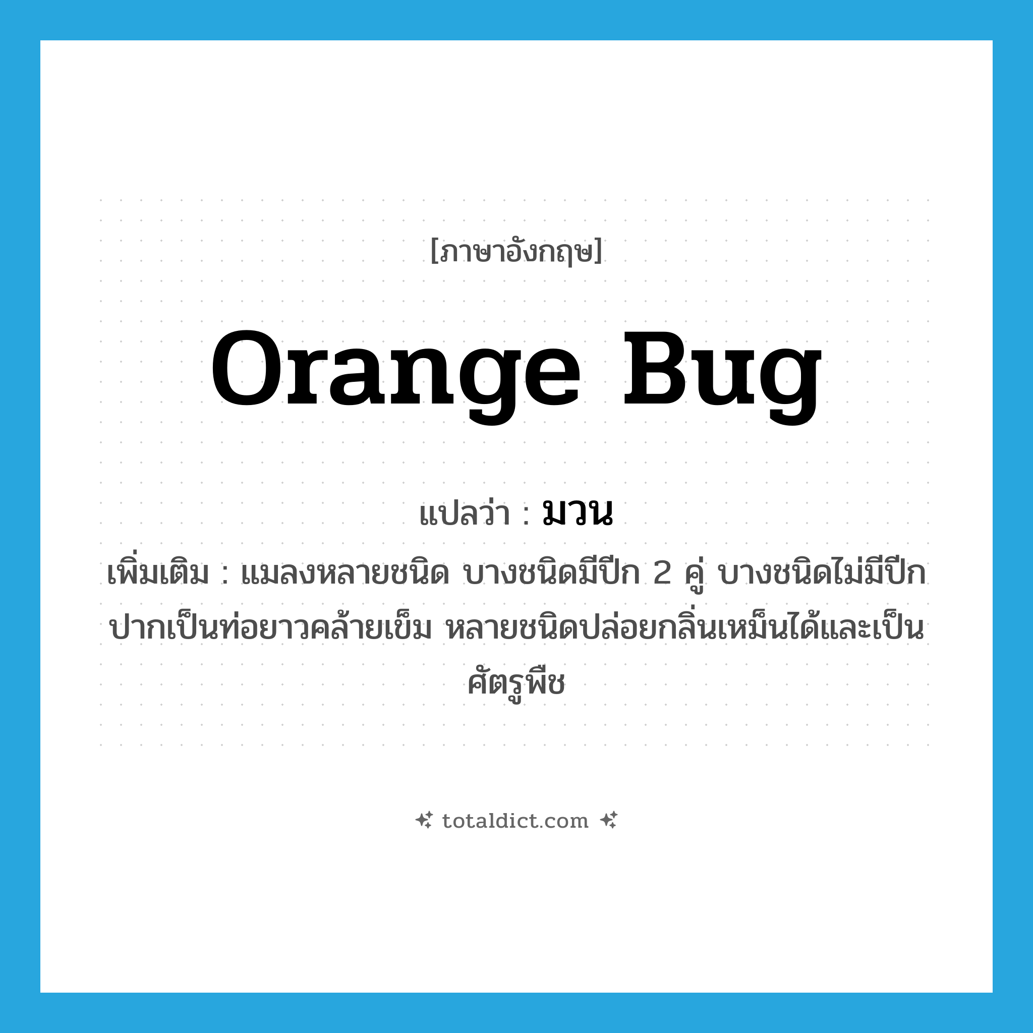 orange bug แปลว่า?, คำศัพท์ภาษาอังกฤษ orange bug แปลว่า มวน ประเภท N เพิ่มเติม แมลงหลายชนิด บางชนิดมีปีก 2 คู่ บางชนิดไม่มีปีก ปากเป็นท่อยาวคล้ายเข็ม หลายชนิดปล่อยกลิ่นเหม็นได้และเป็นศัตรูพืช หมวด N