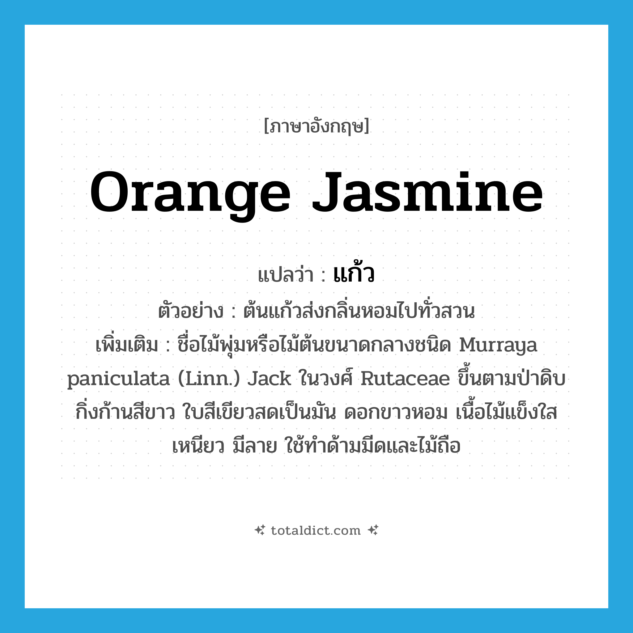 orange jasmine แปลว่า?, คำศัพท์ภาษาอังกฤษ orange jasmine แปลว่า แก้ว ประเภท N ตัวอย่าง ต้นแก้วส่งกลิ่นหอมไปทั่วสวน เพิ่มเติม ชื่อไม้พุ่มหรือไม้ต้นขนาดกลางชนิด Murraya paniculata (Linn.) Jack ในวงศ์ Rutaceae ขึ้นตามป่าดิบ กิ่งก้านสีขาว ใบสีเขียวสดเป็นมัน ดอกขาวหอม เนื้อไม้แข็งใส เหนียว มีลาย ใช้ทำด้ามมีดและไม้ถือ หมวด N