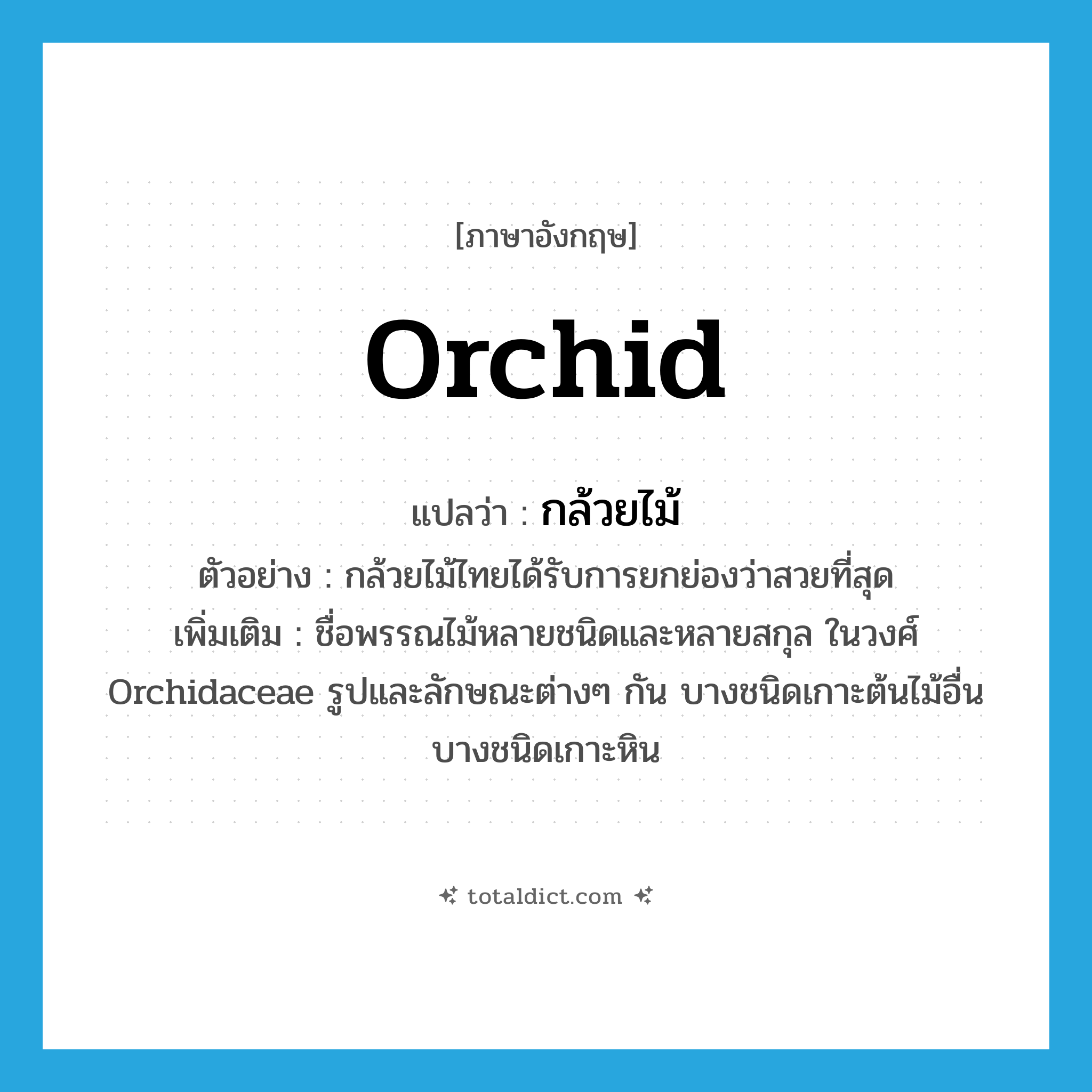 orchid แปลว่า?, คำศัพท์ภาษาอังกฤษ orchid แปลว่า กล้วยไม้ ประเภท N ตัวอย่าง กล้วยไม้ไทยได้รับการยกย่องว่าสวยที่สุด เพิ่มเติม ชื่อพรรณไม้หลายชนิดและหลายสกุล ในวงศ์ Orchidaceae รูปและลักษณะต่างๆ กัน บางชนิดเกาะต้นไม้อื่น บางชนิดเกาะหิน หมวด N