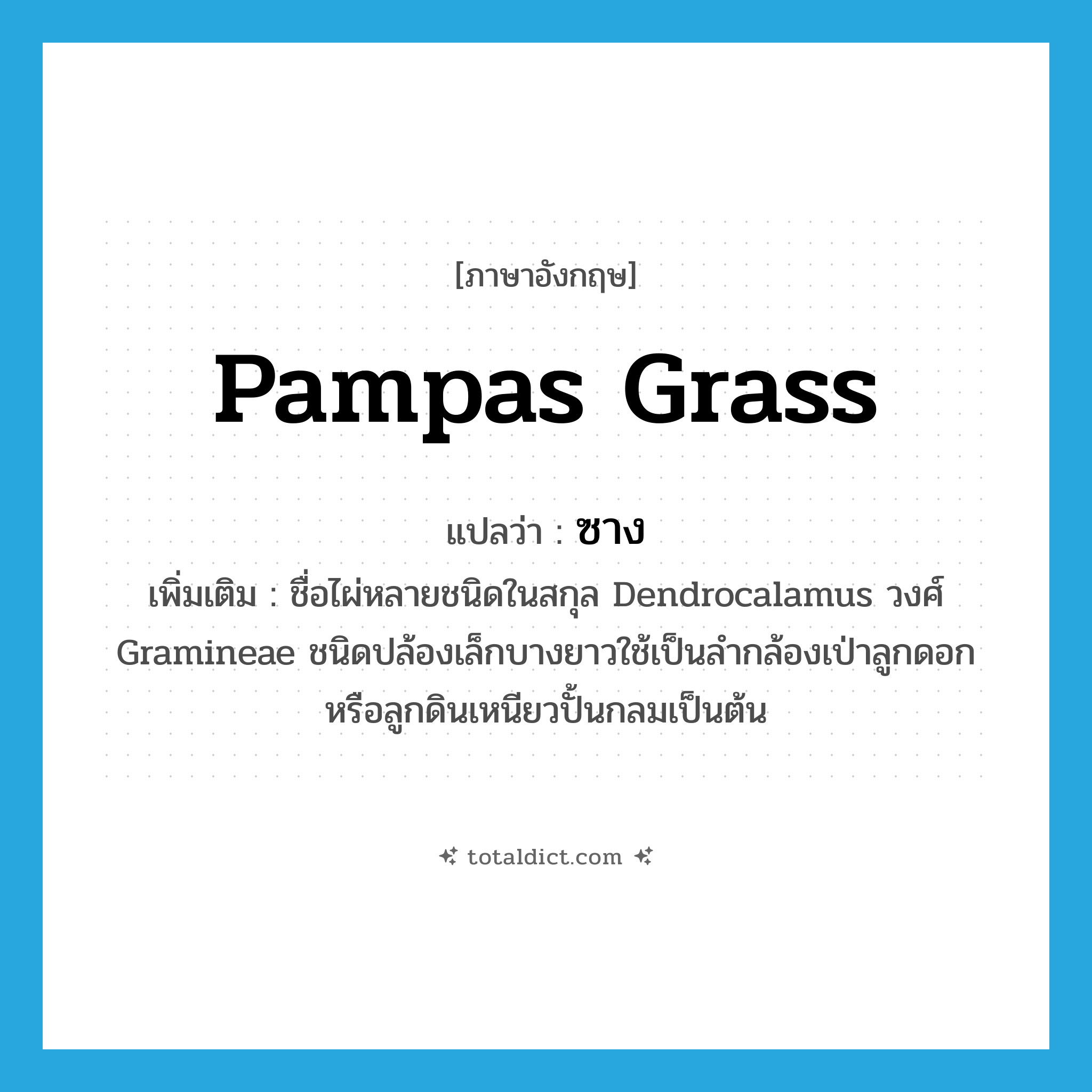 pampas grass แปลว่า?, คำศัพท์ภาษาอังกฤษ pampas grass แปลว่า ซาง ประเภท N เพิ่มเติม ชื่อไผ่หลายชนิดในสกุล Dendrocalamus วงศ์ Gramineae ชนิดปล้องเล็กบางยาวใช้เป็นลำกล้องเป่าลูกดอก หรือลูกดินเหนียวปั้นกลมเป็นต้น หมวด N