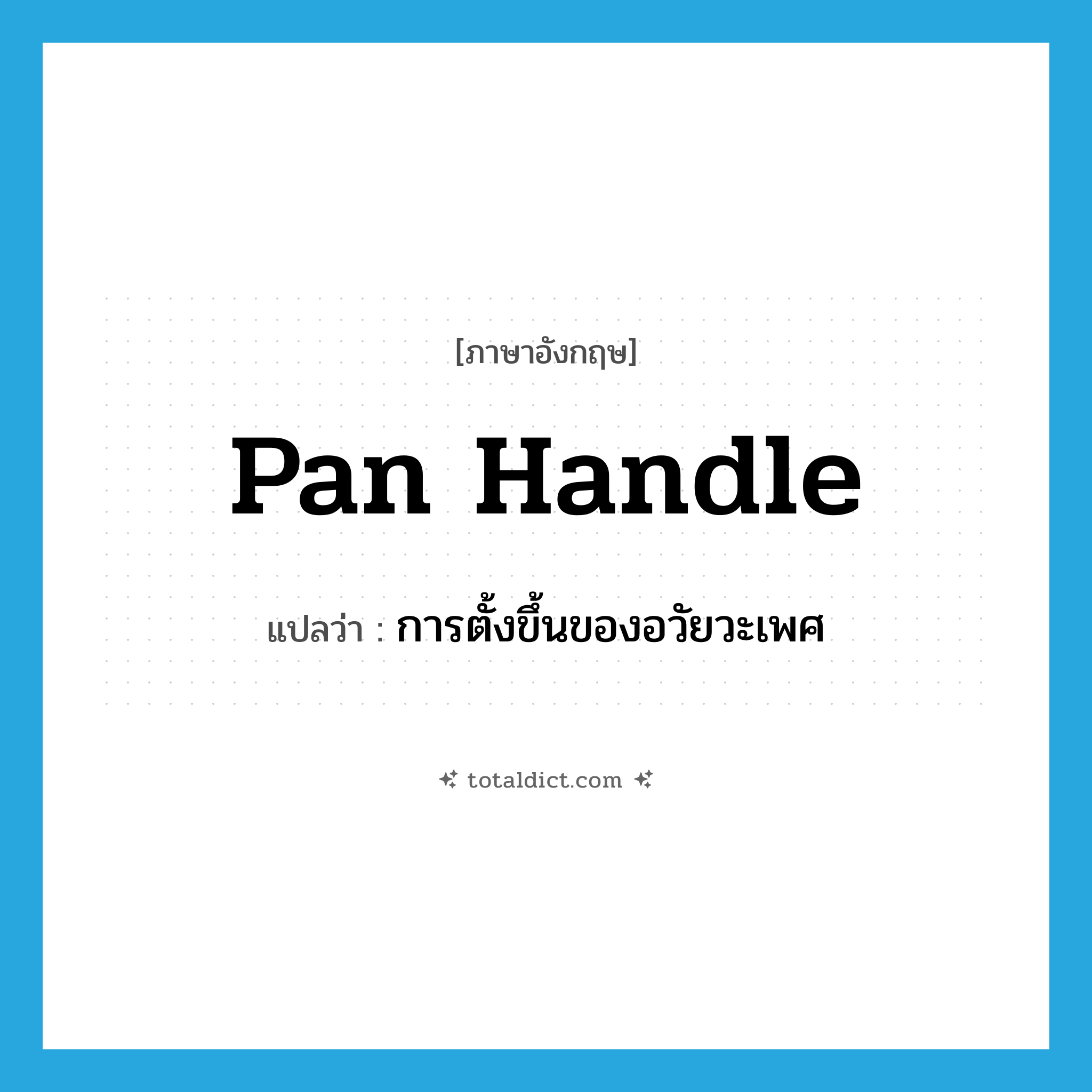 pan handle แปลว่า?, คำศัพท์ภาษาอังกฤษ pan handle แปลว่า การตั้งขึ้นของอวัยวะเพศ ประเภท SL หมวด SL