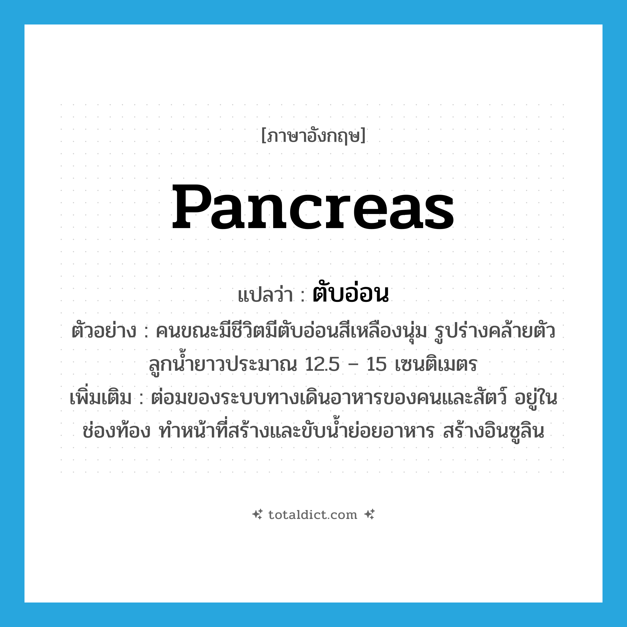 &#34;ตับอ่อน&#34; (n), คำศัพท์ภาษาอังกฤษ ตับอ่อน แปลว่า pancreas ประเภท N ตัวอย่าง คนขณะมีชีวิตมีตับอ่อนสีเหลืองนุ่ม รูปร่างคล้ายตัวลูกน้ำยาวประมาณ 12.5 – 15 เซนติเมตร เพิ่มเติม ต่อมของระบบทางเดินอาหารของคนและสัตว์ อยู่ในช่องท้อง ทำหน้าที่สร้างและขับน้ำย่อยอาหาร สร้างอินซูลิน หมวด N