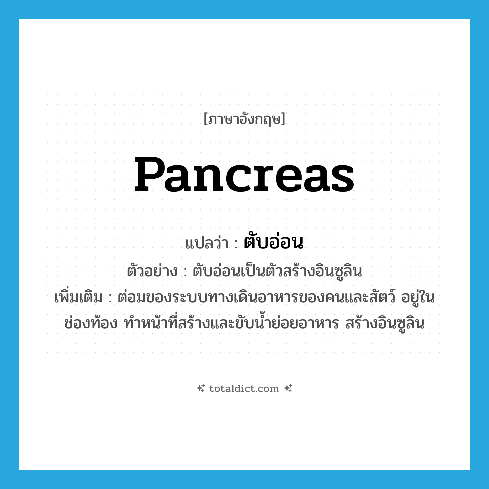 &#34;ตับอ่อน&#34; (n), คำศัพท์ภาษาอังกฤษ ตับอ่อน แปลว่า pancreas ประเภท N ตัวอย่าง ตับอ่อนเป็นตัวสร้างอินซูลิน เพิ่มเติม ต่อมของระบบทางเดินอาหารของคนและสัตว์ อยู่ในช่องท้อง ทำหน้าที่สร้างและขับน้ำย่อยอาหาร สร้างอินซูลิน หมวด N