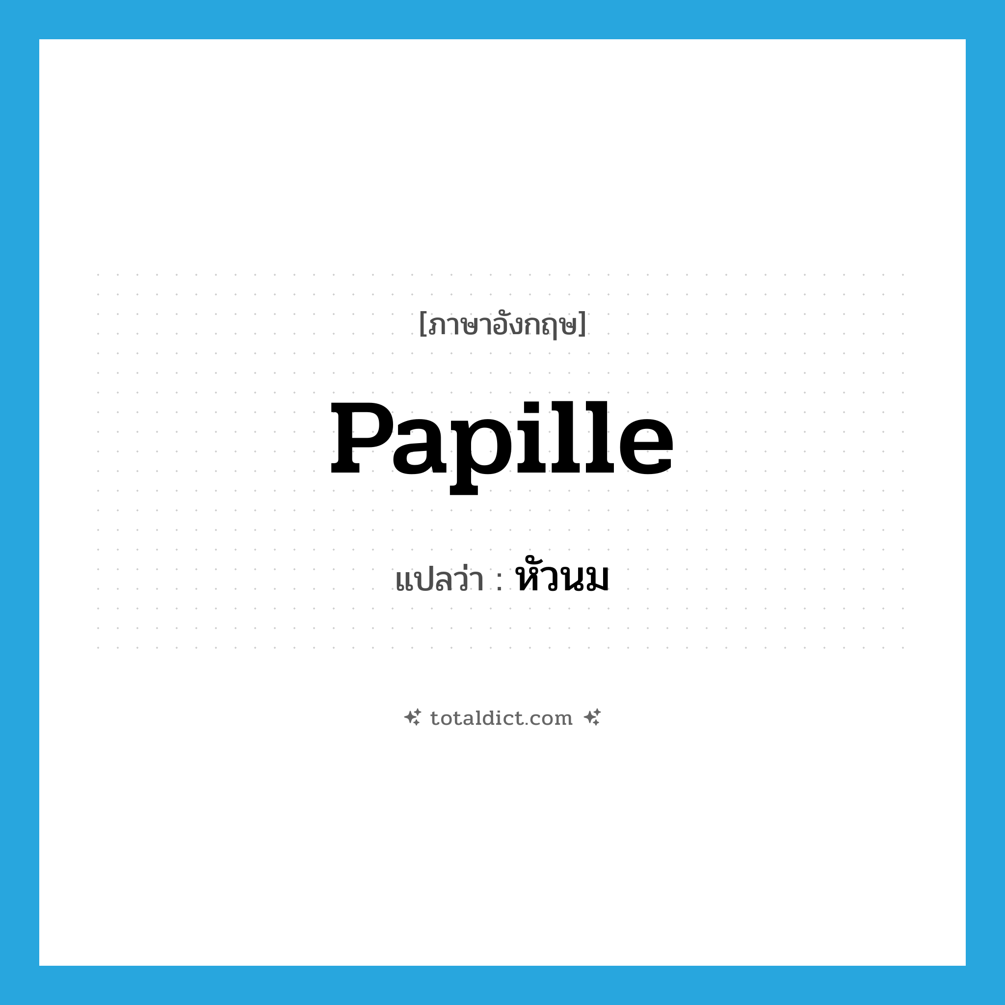 papille แปลว่า?, คำศัพท์ภาษาอังกฤษ papille แปลว่า หัวนม ประเภท N หมวด N