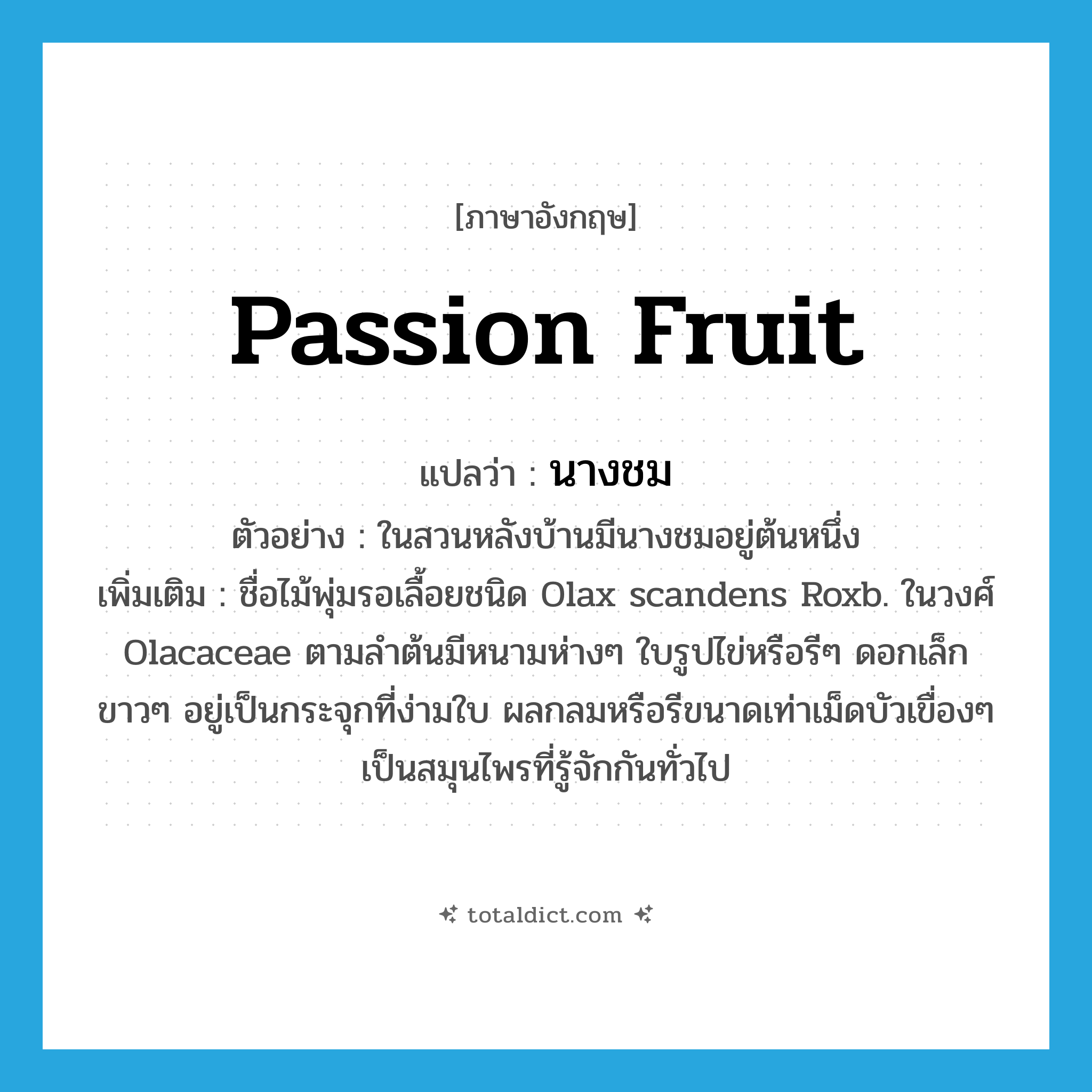 passion fruit แปลว่า?, คำศัพท์ภาษาอังกฤษ passion fruit แปลว่า นางชม ประเภท N ตัวอย่าง ในสวนหลังบ้านมีนางชมอยู่ต้นหนึ่ง เพิ่มเติม ชื่อไม้พุ่มรอเลื้อยชนิด Olax scandens Roxb. ในวงศ์ Olacaceae ตามลำต้นมีหนามห่างๆ ใบรูปไข่หรือรีๆ ดอกเล็กขาวๆ อยู่เป็นกระจุกที่ง่ามใบ ผลกลมหรือรีขนาดเท่าเม็ดบัวเขื่องๆ เป็นสมุนไพรที่รู้จักกันทั่วไป หมวด N