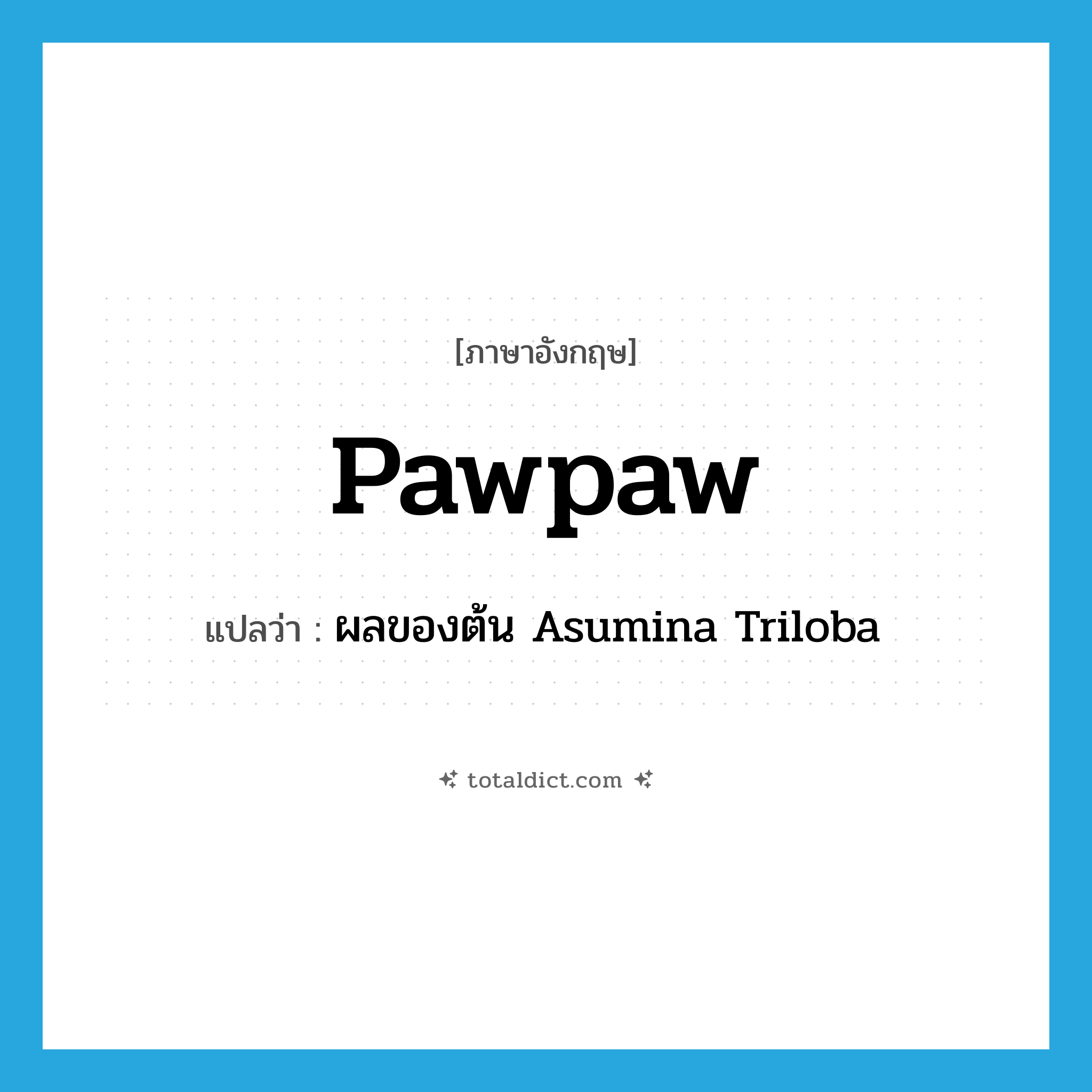 pawpaw แปลว่า?, คำศัพท์ภาษาอังกฤษ pawpaw แปลว่า ผลของต้น Asumina Triloba ประเภท N หมวด N