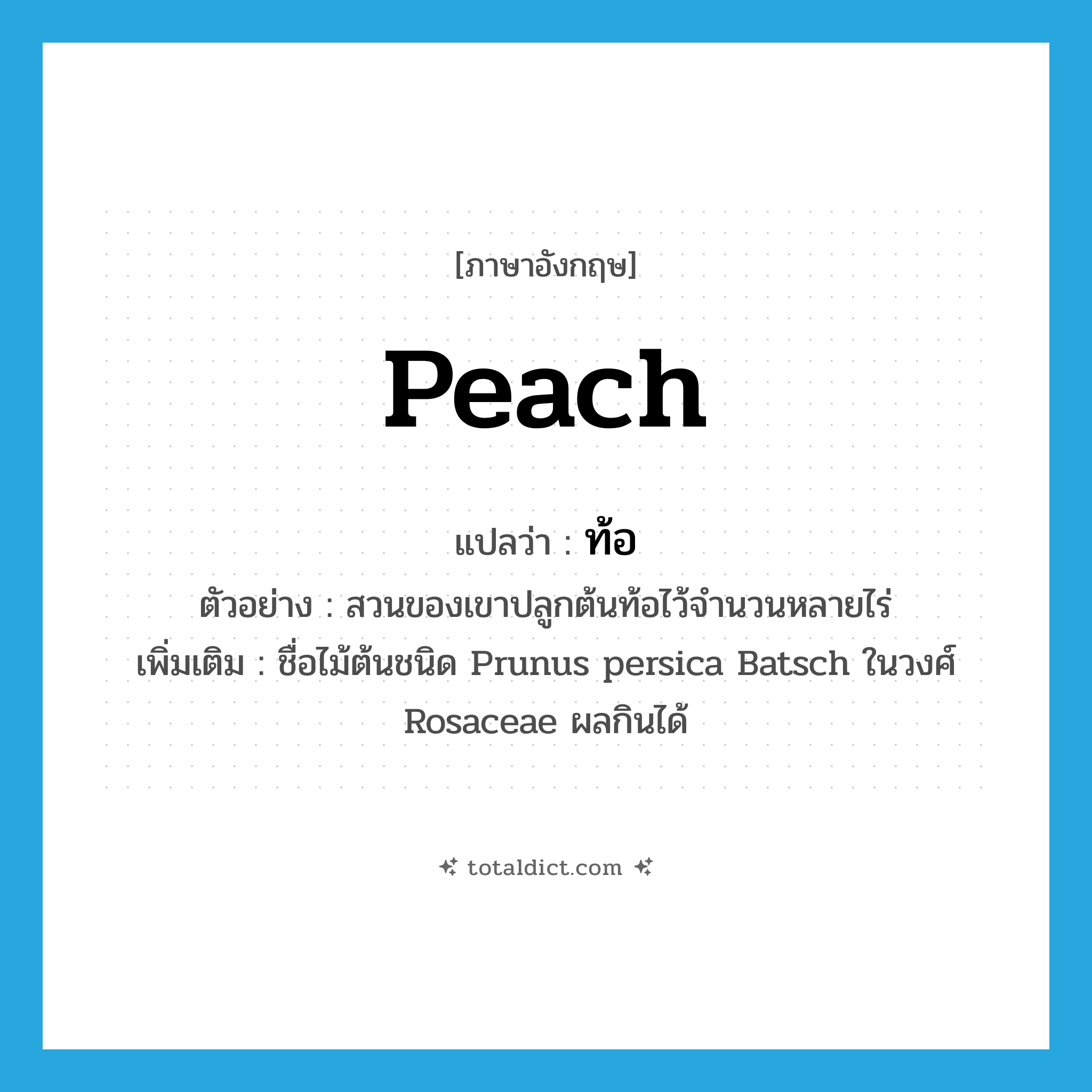 peach แปลว่า?, คำศัพท์ภาษาอังกฤษ peach แปลว่า ท้อ ประเภท N ตัวอย่าง สวนของเขาปลูกต้นท้อไว้จำนวนหลายไร่ เพิ่มเติม ชื่อไม้ต้นชนิด Prunus persica Batsch ในวงศ์ Rosaceae ผลกินได้ หมวด N