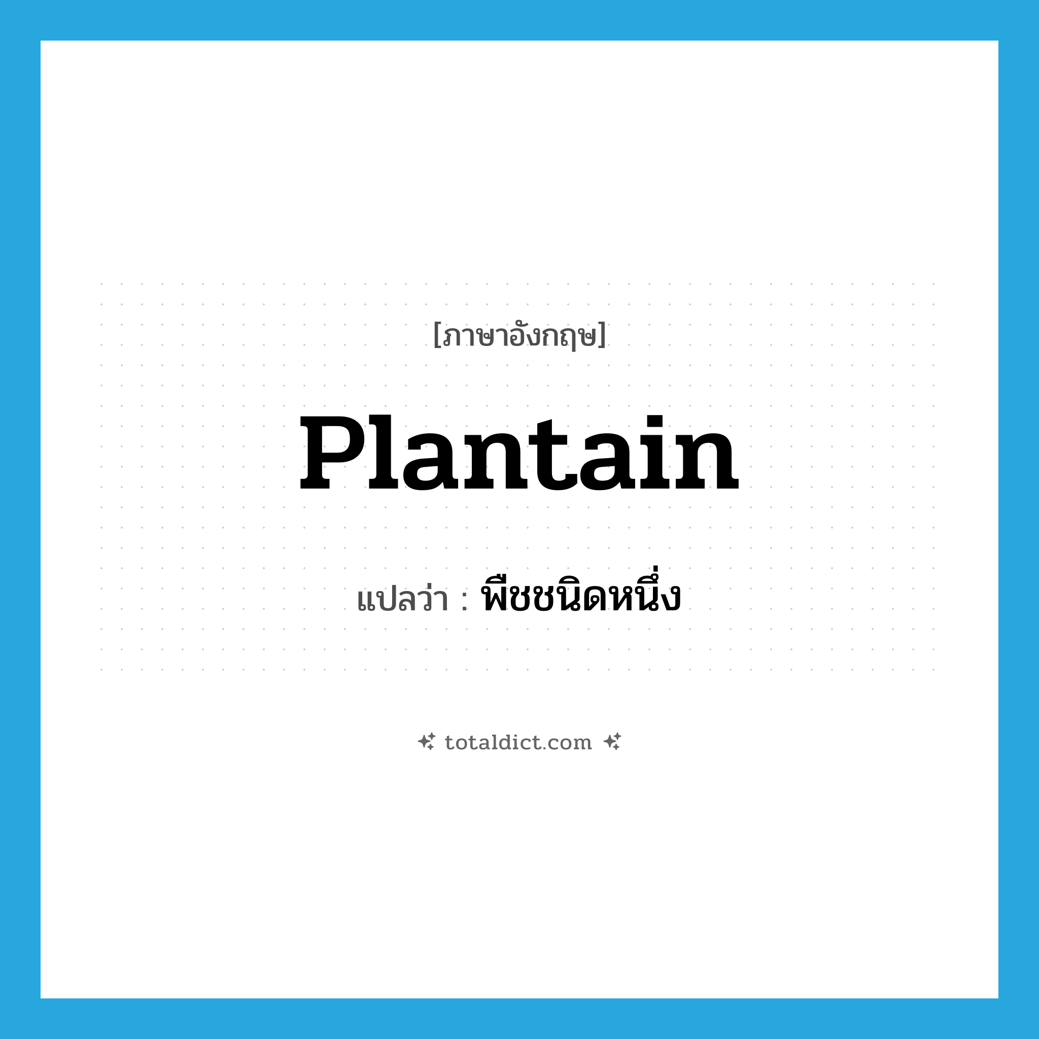 plantain แปลว่า?, คำศัพท์ภาษาอังกฤษ plantain แปลว่า พืชชนิดหนึ่ง ประเภท N หมวด N