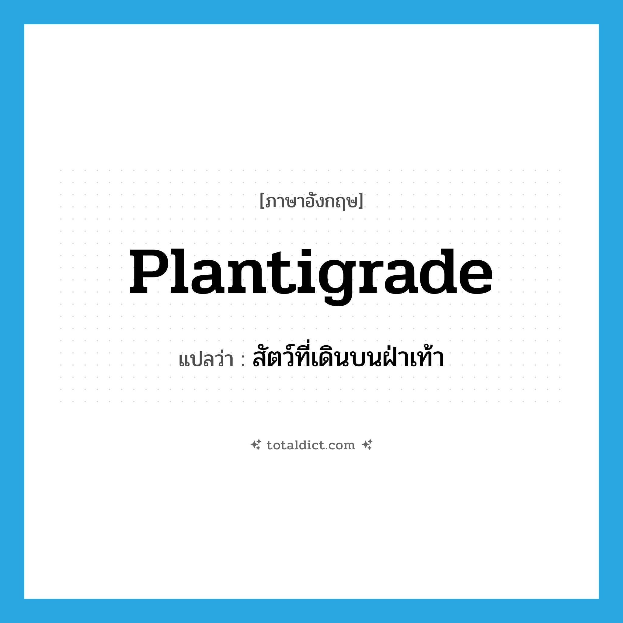 plantigrade แปลว่า?, คำศัพท์ภาษาอังกฤษ plantigrade แปลว่า สัตว์ที่เดินบนฝ่าเท้า ประเภท N หมวด N