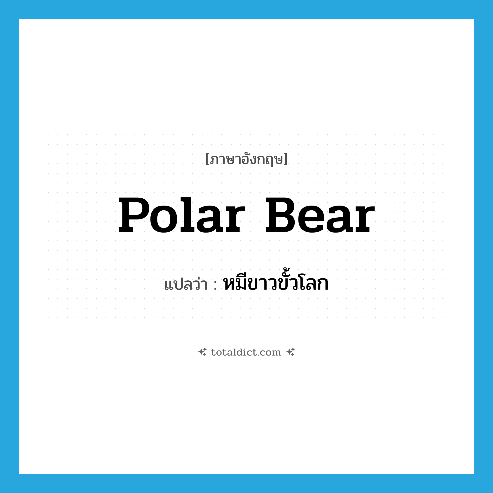 polar bear แปลว่า?, คำศัพท์ภาษาอังกฤษ polar bear แปลว่า หมีขาวขั้วโลก ประเภท N หมวด N