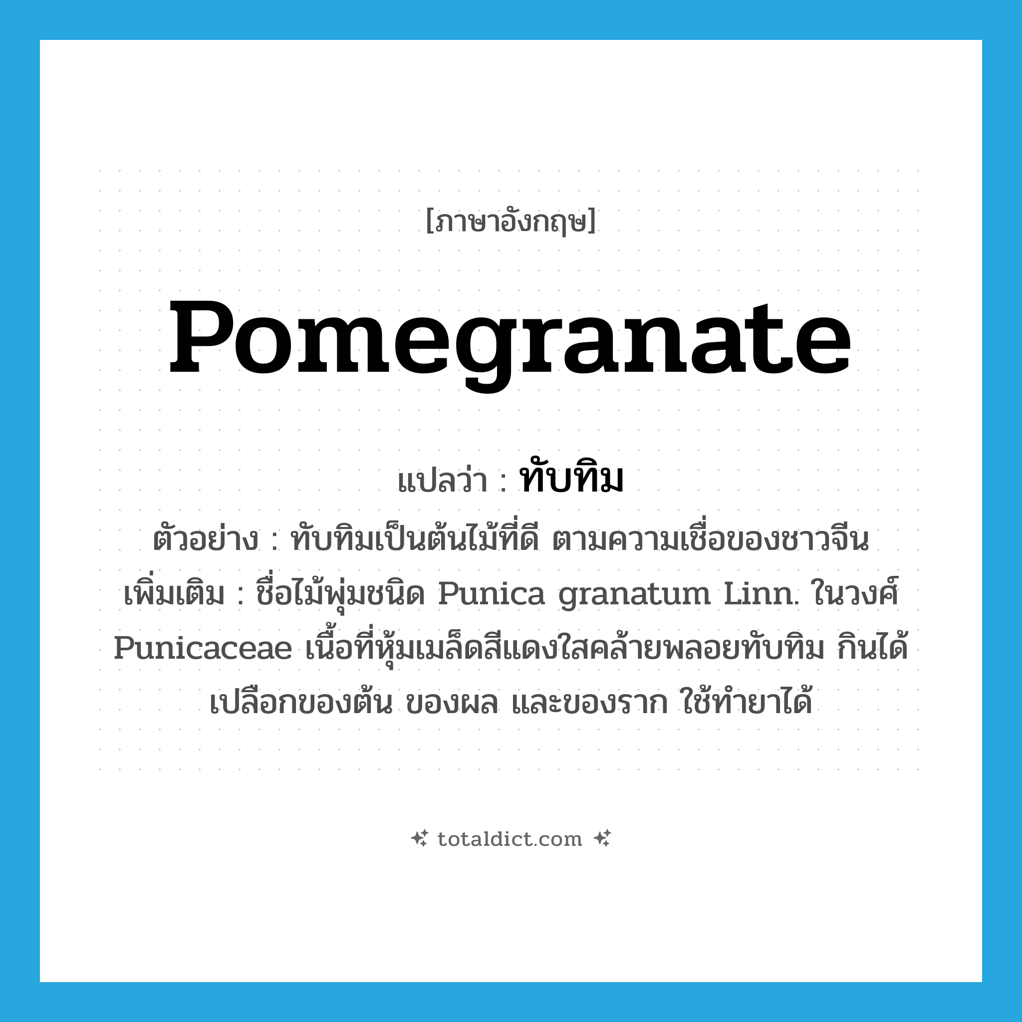 pomegranate แปลว่า?, คำศัพท์ภาษาอังกฤษ pomegranate แปลว่า ทับทิม ประเภท N ตัวอย่าง ทับทิมเป็นต้นไม้ที่ดี ตามความเชื่อของชาวจีน เพิ่มเติม ชื่อไม้พุ่มชนิด Punica granatum Linn. ในวงศ์ Punicaceae เนื้อที่หุ้มเมล็ดสีแดงใสคล้ายพลอยทับทิม กินได้ เปลือกของต้น ของผล และของราก ใช้ทำยาได้ หมวด N