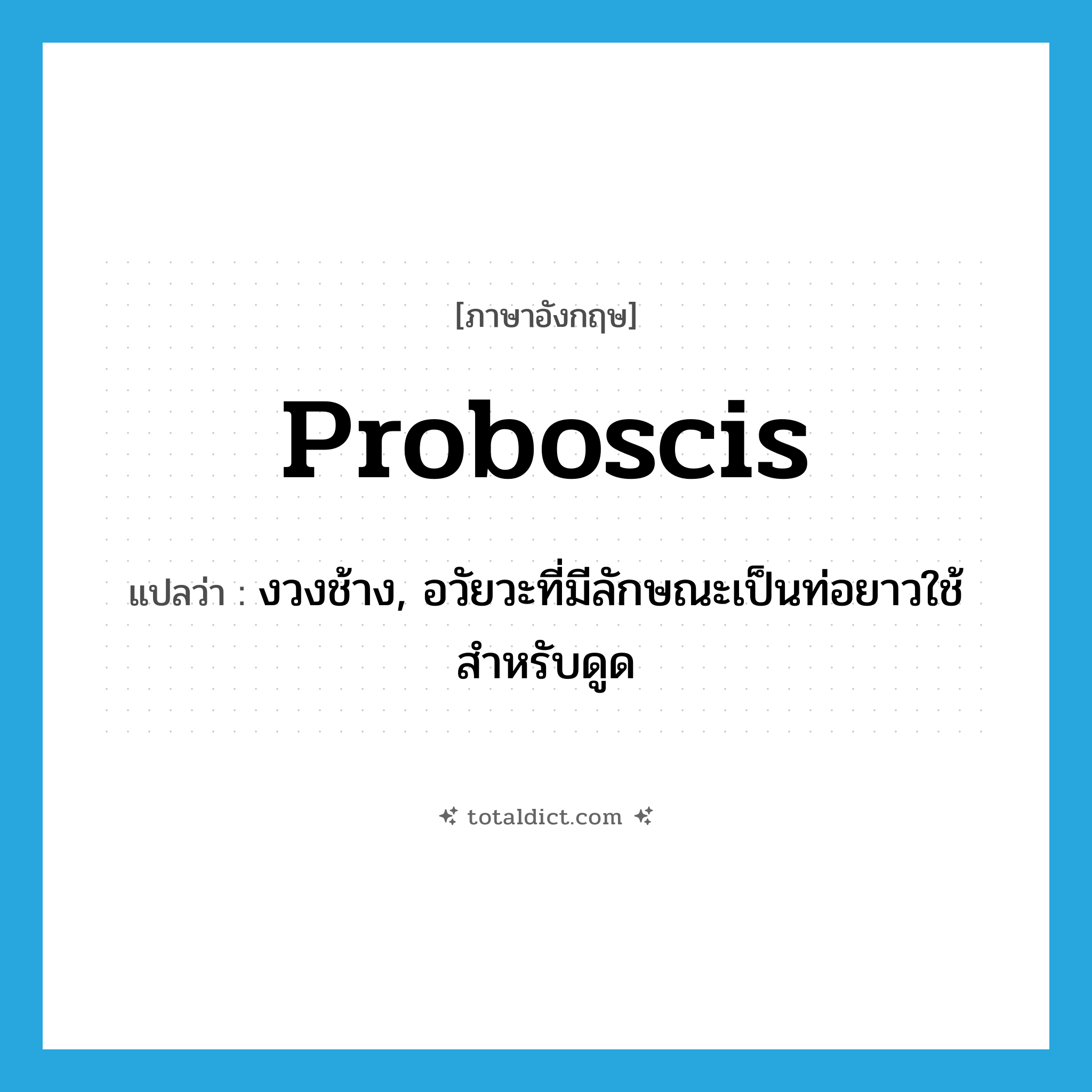 proboscis แปลว่า?, คำศัพท์ภาษาอังกฤษ proboscis แปลว่า งวงช้าง, อวัยวะที่มีลักษณะเป็นท่อยาวใช้สำหรับดูด ประเภท N หมวด N