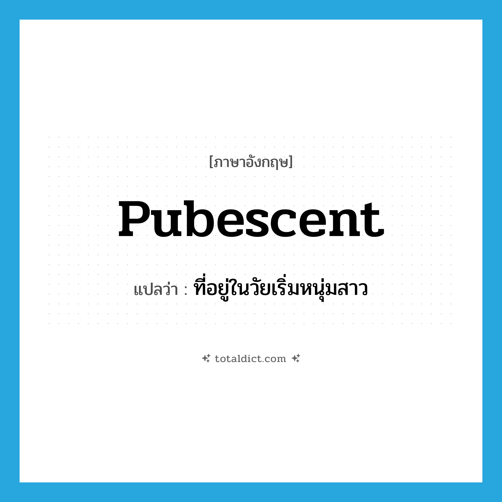 pubescent แปลว่า?, คำศัพท์ภาษาอังกฤษ pubescent แปลว่า ที่อยู่ในวัยเริ่มหนุ่มสาว ประเภท ADJ หมวด ADJ