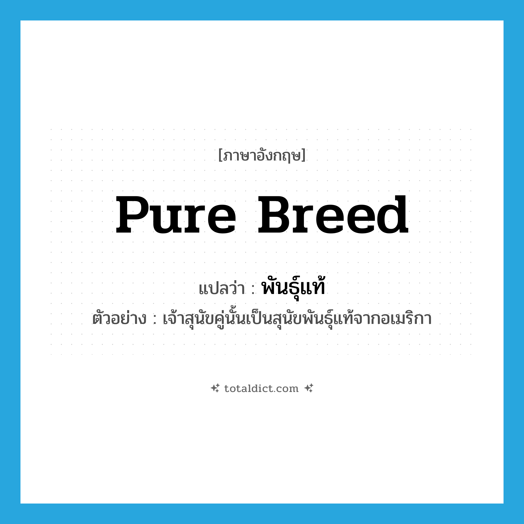 pure breed แปลว่า?, คำศัพท์ภาษาอังกฤษ pure breed แปลว่า พันธุ์แท้ ประเภท ADJ ตัวอย่าง เจ้าสุนัขคู่นั้นเป็นสุนัขพันธุ์แท้จากอเมริกา หมวด ADJ