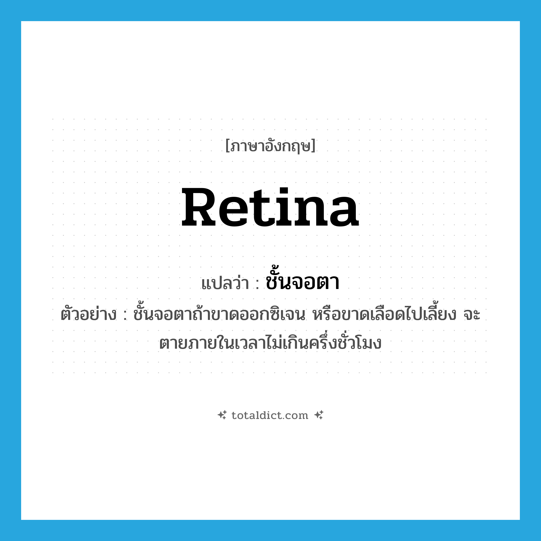 retina แปลว่า?, คำศัพท์ภาษาอังกฤษ retina แปลว่า ชั้นจอตา ประเภท N ตัวอย่าง ชั้นจอตาถ้าขาดออกซิเจน หรือขาดเลือดไปเลี้ยง จะตายภายในเวลาไม่เกินครึ่งชั่วโมง หมวด N