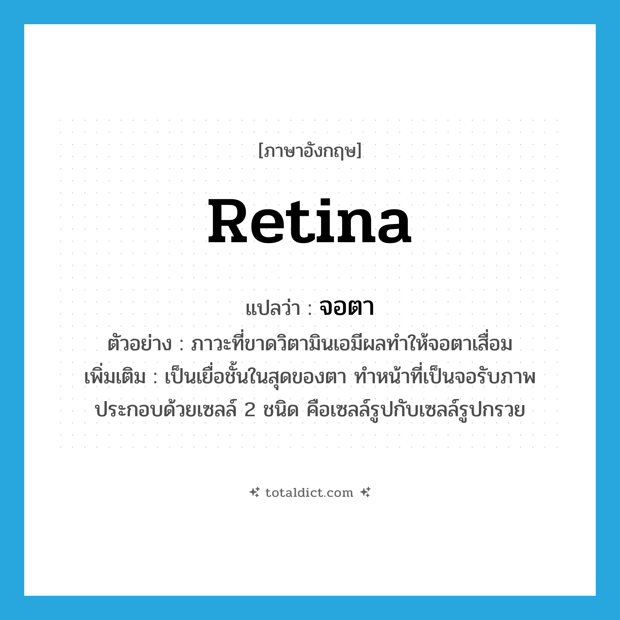 retina แปลว่า?, คำศัพท์ภาษาอังกฤษ retina แปลว่า จอตา ประเภท N ตัวอย่าง ภาวะที่ขาดวิตามินเอมีผลทำให้จอตาเสื่อม เพิ่มเติม เป็นเยื่อชั้นในสุดของตา ทำหน้าที่เป็นจอรับภาพ ประกอบด้วยเซลล์ 2 ชนิด คือเซลล์รูปกับเซลล์รูปกรวย หมวด N