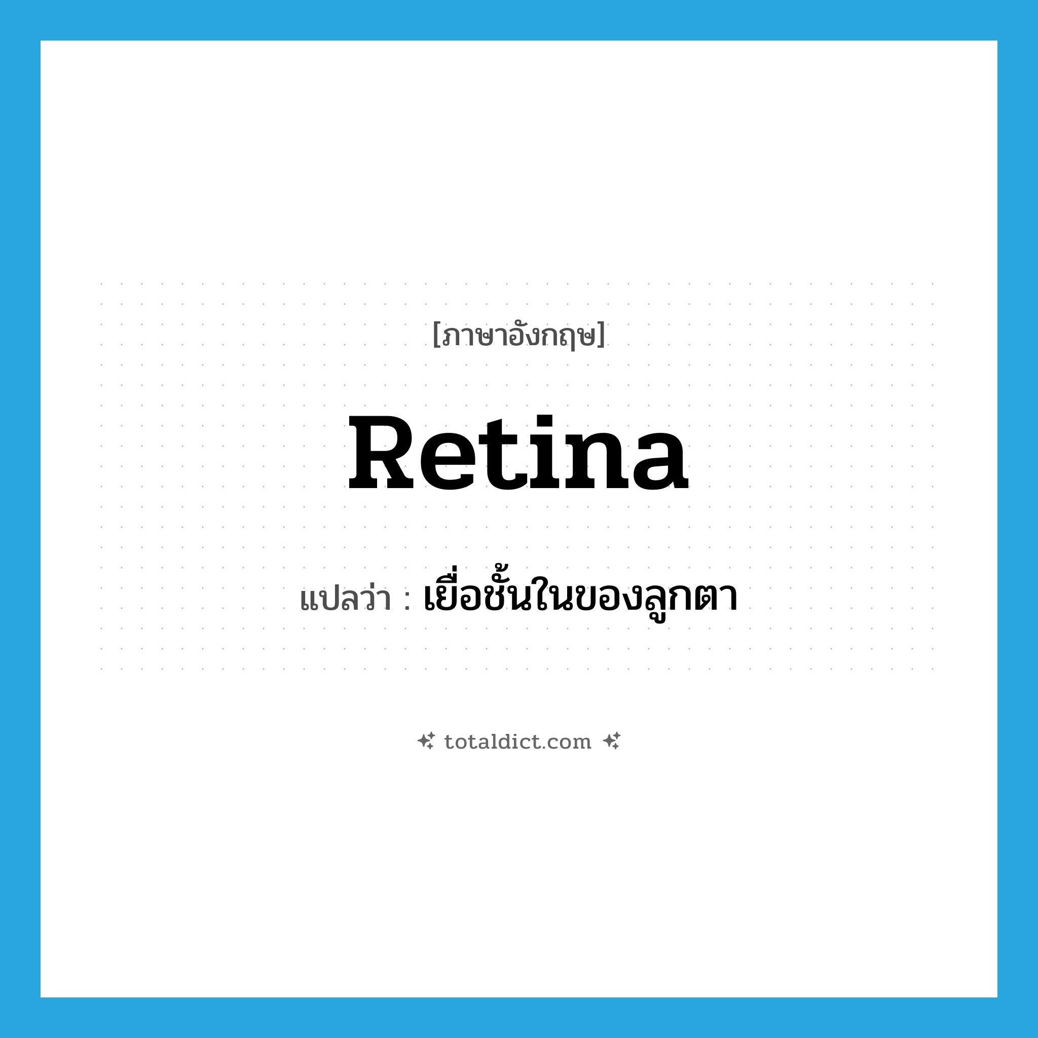 retina แปลว่า?, คำศัพท์ภาษาอังกฤษ retina แปลว่า เยื่อชั้นในของลูกตา ประเภท N หมวด N