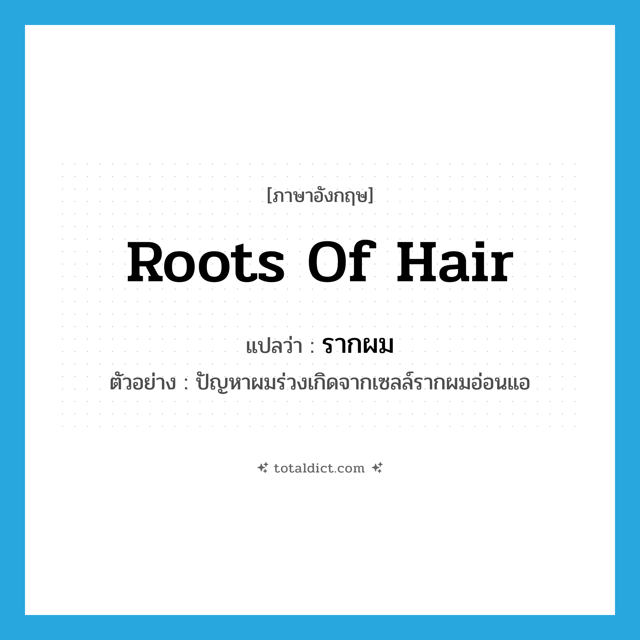 roots of hair แปลว่า?, คำศัพท์ภาษาอังกฤษ roots of hair แปลว่า รากผม ประเภท N ตัวอย่าง ปัญหาผมร่วงเกิดจากเซลล์รากผมอ่อนแอ หมวด N