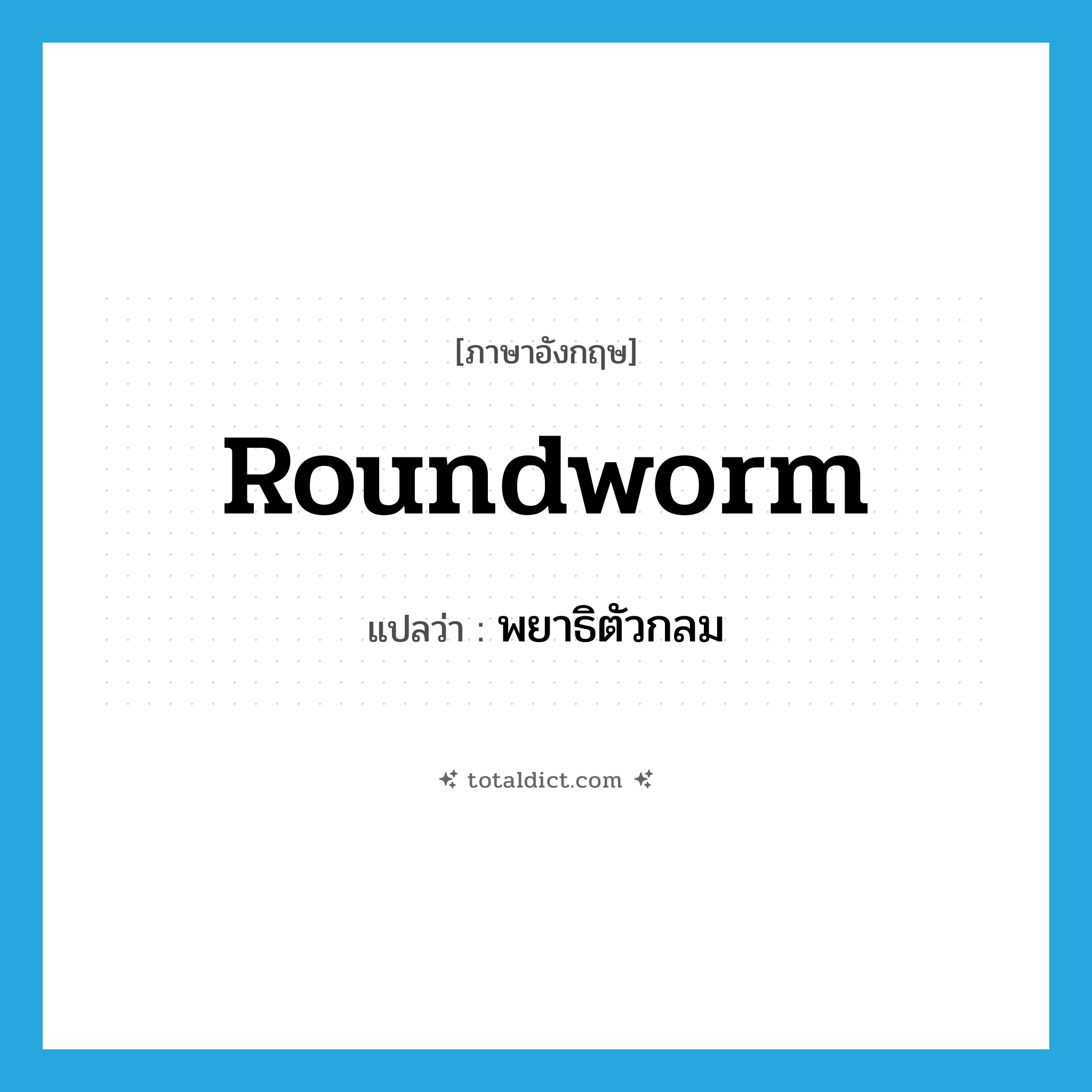 roundworm แปลว่า?, คำศัพท์ภาษาอังกฤษ roundworm แปลว่า พยาธิตัวกลม ประเภท N หมวด N