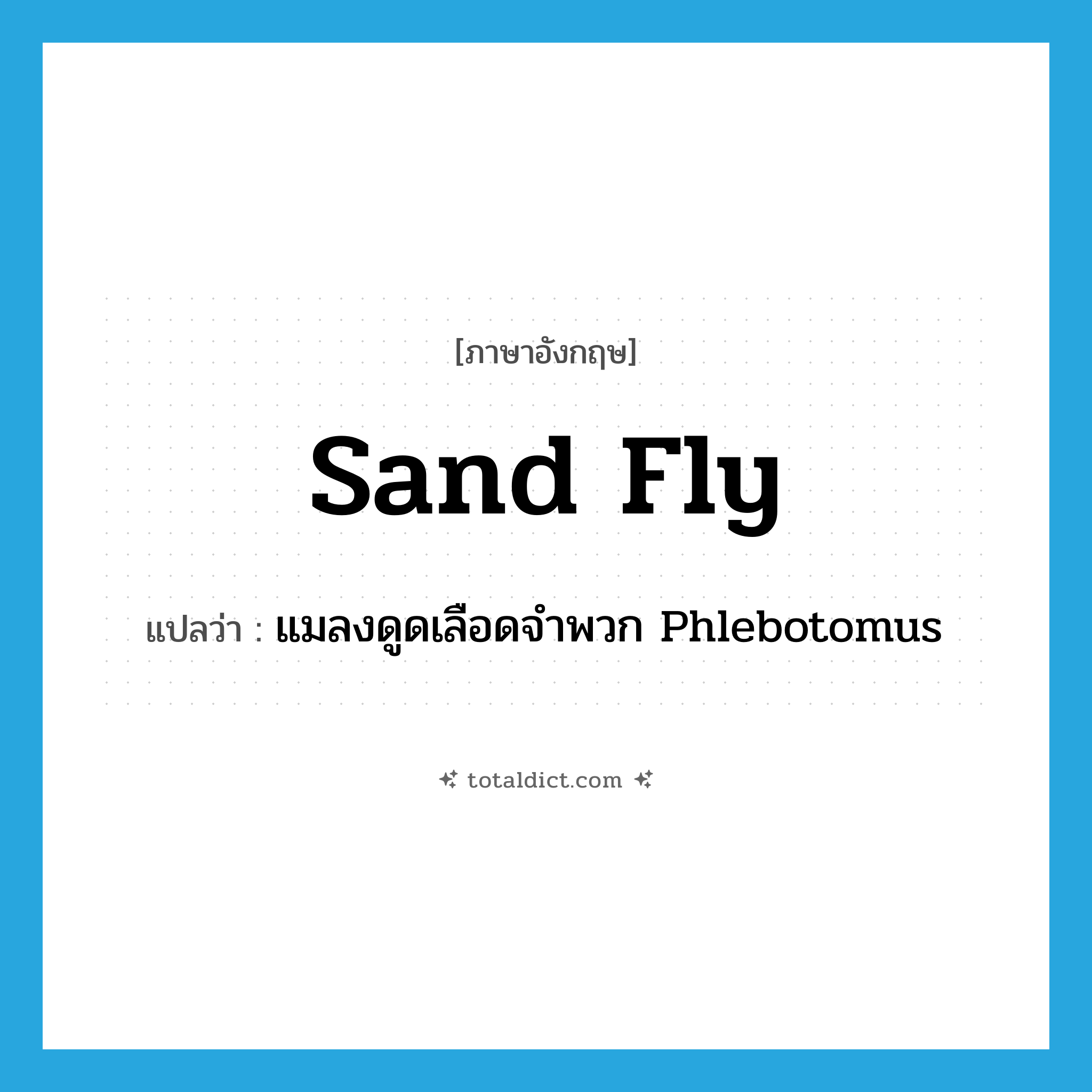 sand fly แปลว่า?, คำศัพท์ภาษาอังกฤษ sand fly แปลว่า แมลงดูดเลือดจำพวก Phlebotomus ประเภท N หมวด N