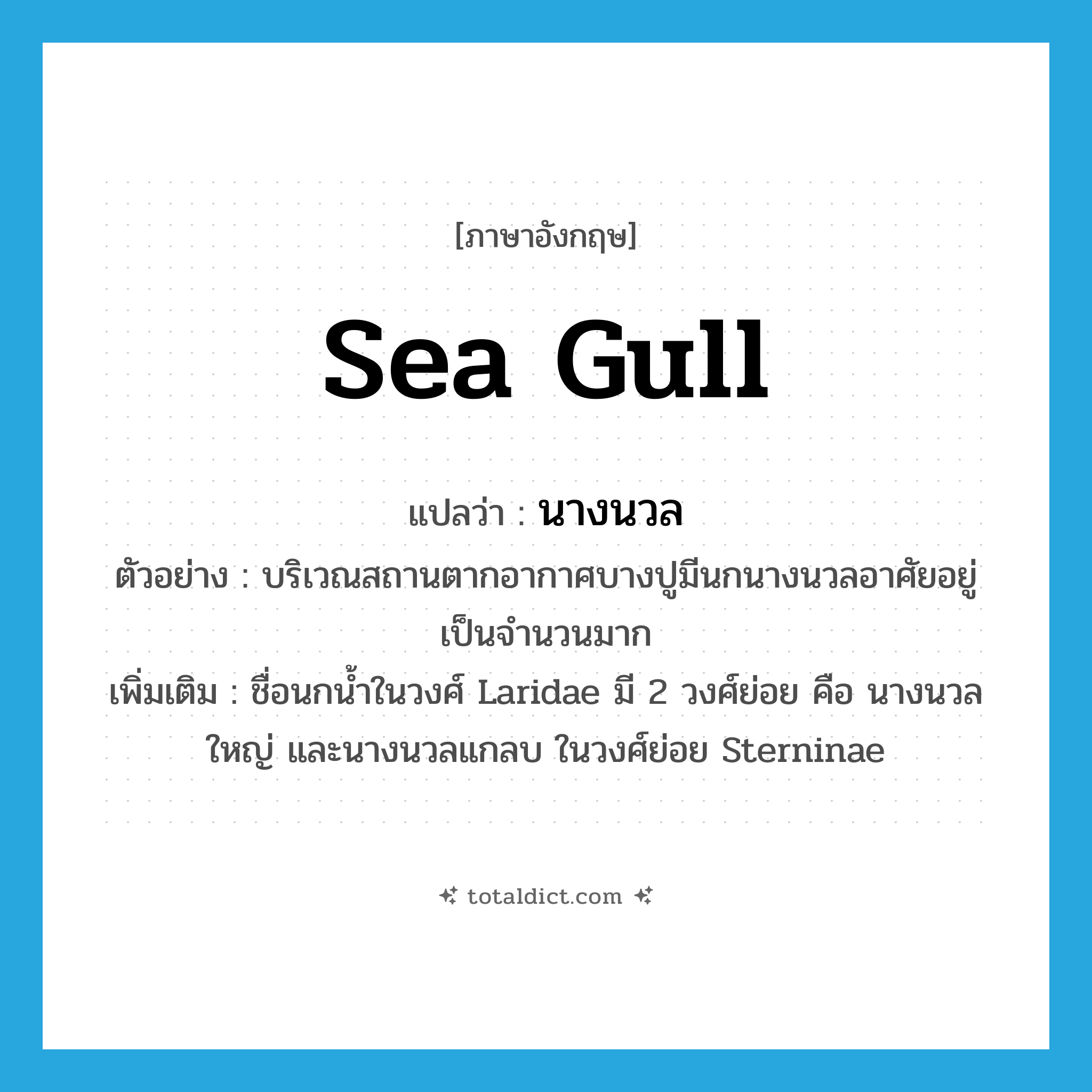 sea gull แปลว่า?, คำศัพท์ภาษาอังกฤษ sea gull แปลว่า นางนวล ประเภท N ตัวอย่าง บริเวณสถานตากอากาศบางปูมีนกนางนวลอาศัยอยู่เป็นจำนวนมาก เพิ่มเติม ชื่อนกน้ำในวงศ์ Laridae มี 2 วงศ์ย่อย คือ นางนวลใหญ่ และนางนวลแกลบ ในวงศ์ย่อย Sterninae หมวด N