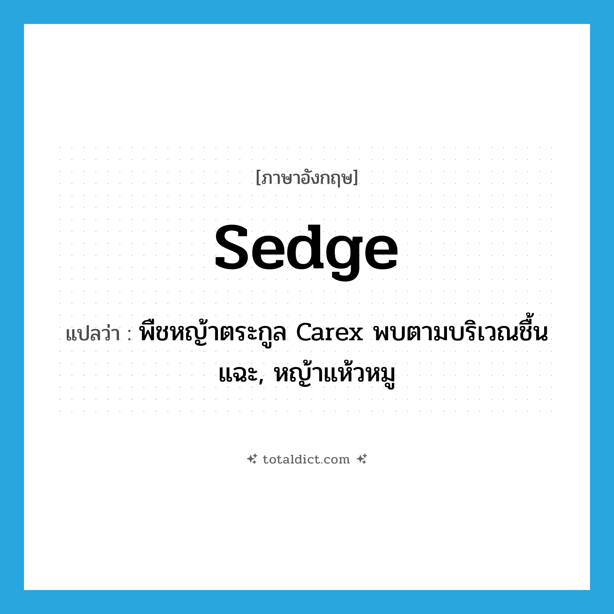 sedge แปลว่า?, คำศัพท์ภาษาอังกฤษ sedge แปลว่า พืชหญ้าตระกูล Carex พบตามบริเวณชื้นแฉะ, หญ้าแห้วหมู ประเภท N หมวด N