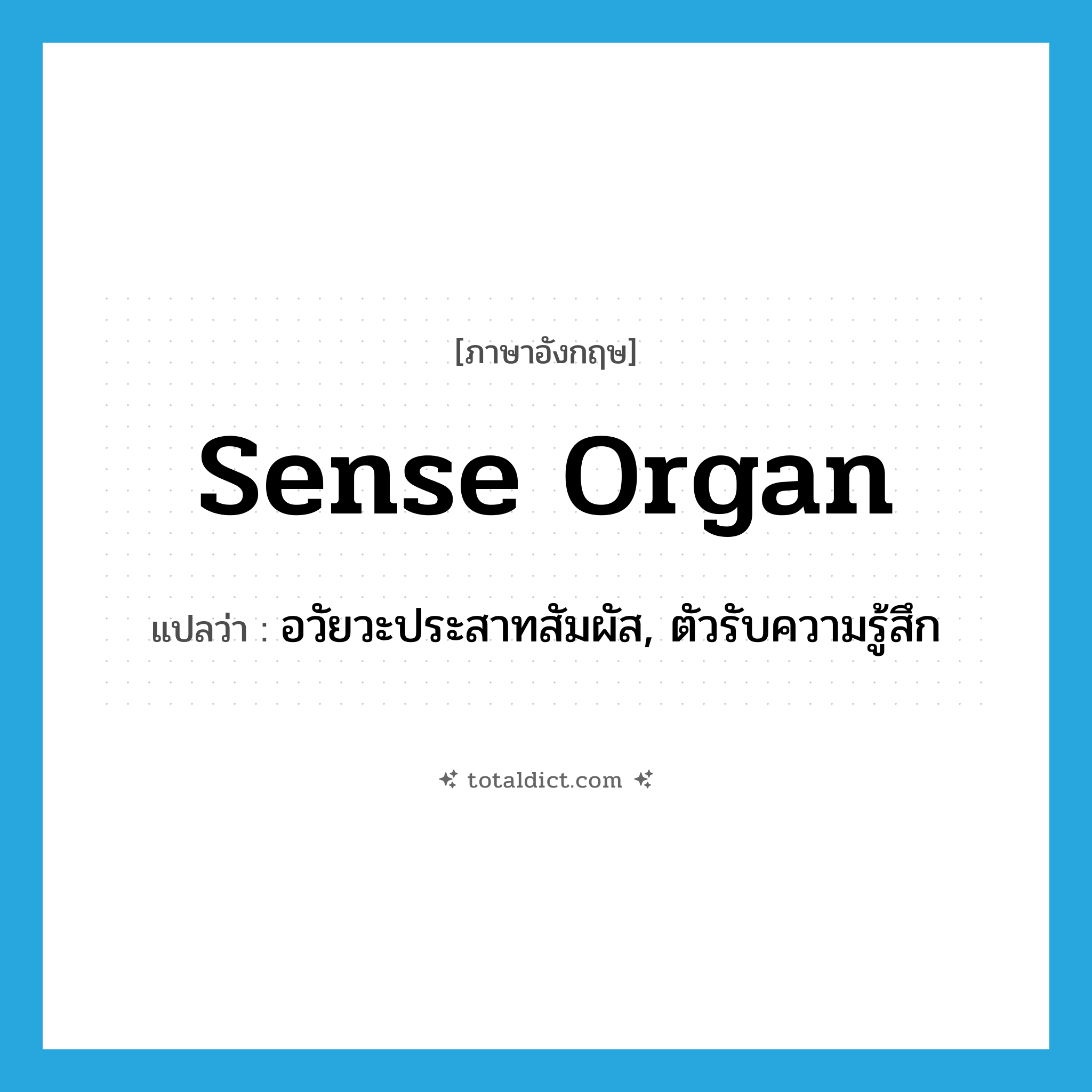 sense organ แปลว่า?, คำศัพท์ภาษาอังกฤษ sense organ แปลว่า อวัยวะประสาทสัมผัส, ตัวรับความรู้สึก ประเภท N หมวด N