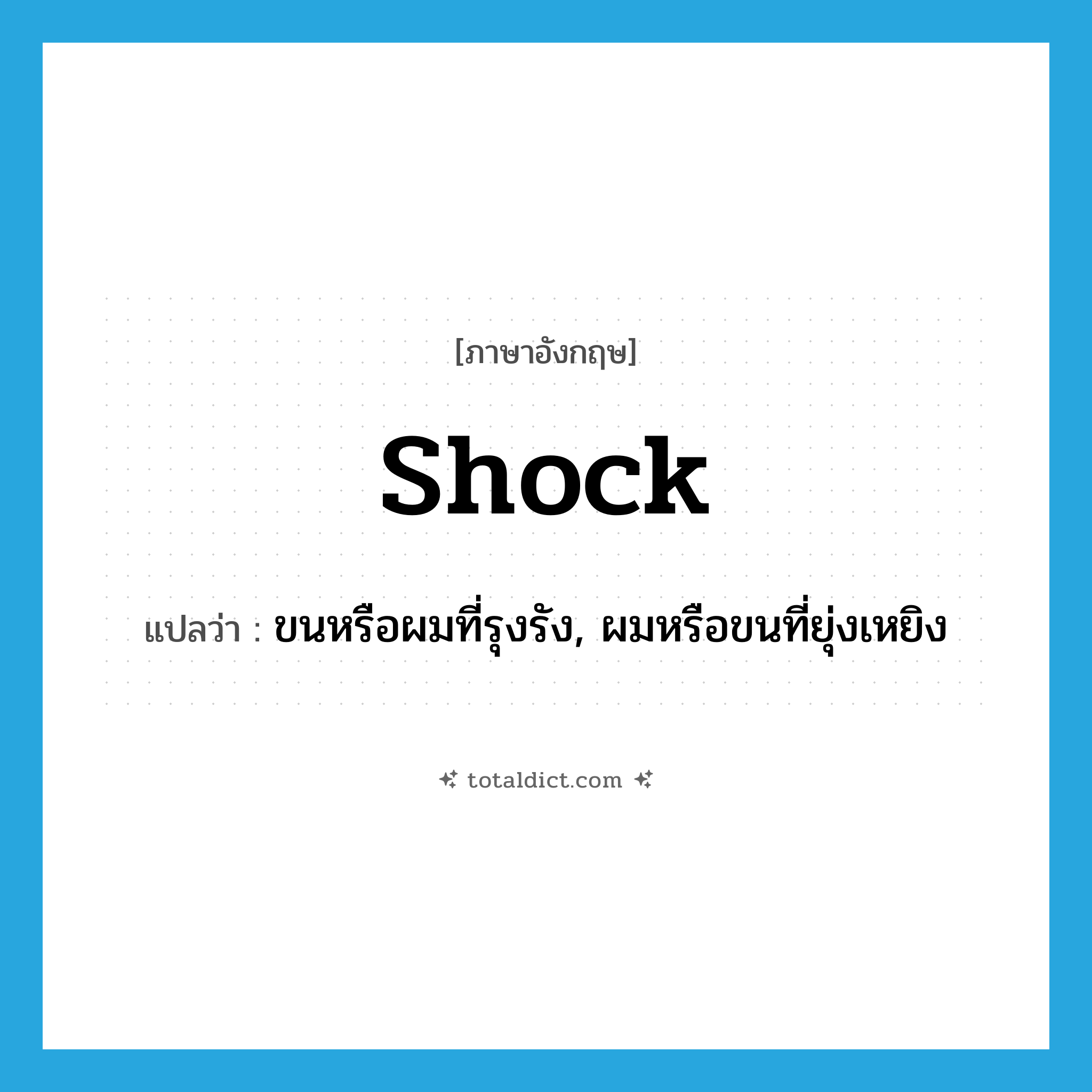 shock แปลว่า?, คำศัพท์ภาษาอังกฤษ shock แปลว่า ขนหรือผมที่รุงรัง, ผมหรือขนที่ยุ่งเหยิง ประเภท N หมวด N