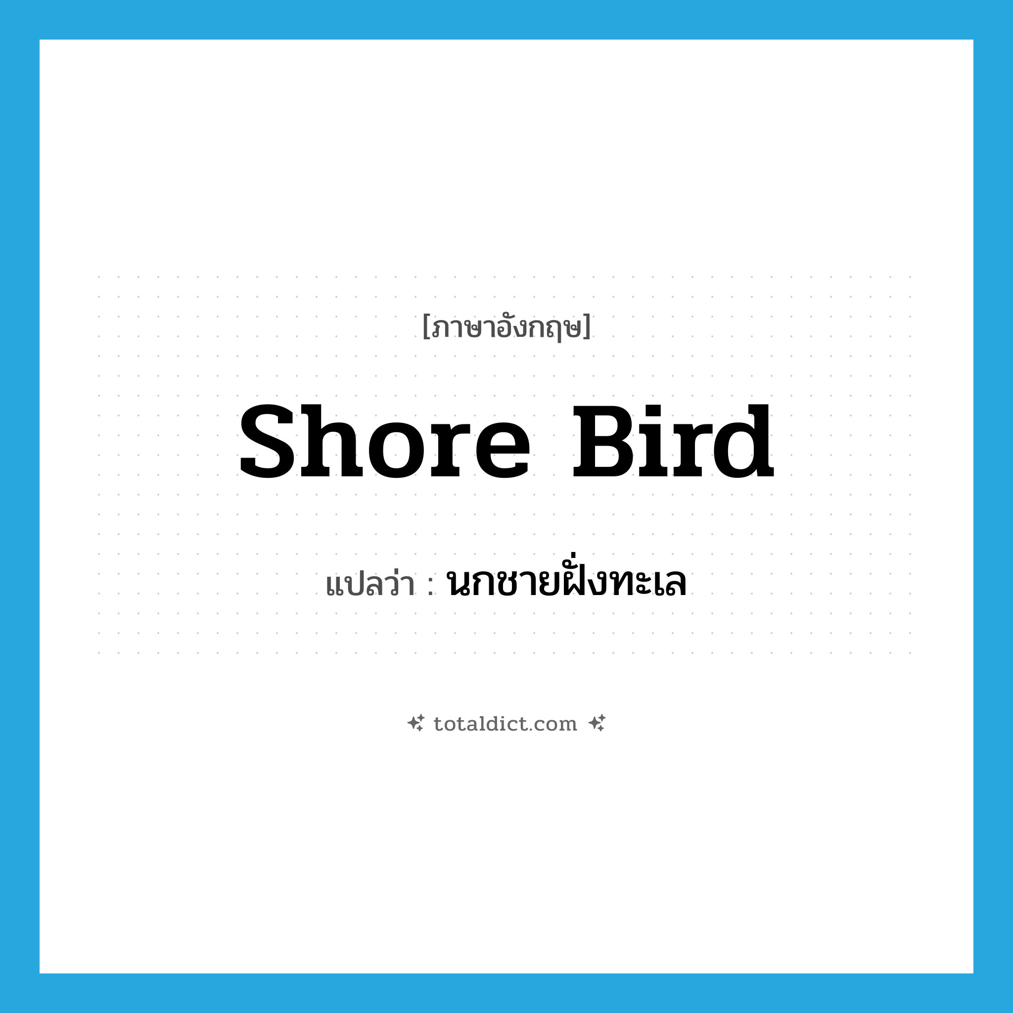 shore bird แปลว่า?, คำศัพท์ภาษาอังกฤษ shore bird แปลว่า นกชายฝั่งทะเล ประเภท N หมวด N